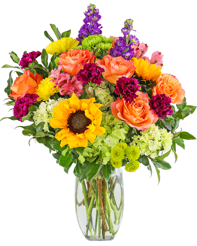 Tall mixed bouquet with sunflowers, orange roses, green hydrangeas and purple stock in a clear vase.