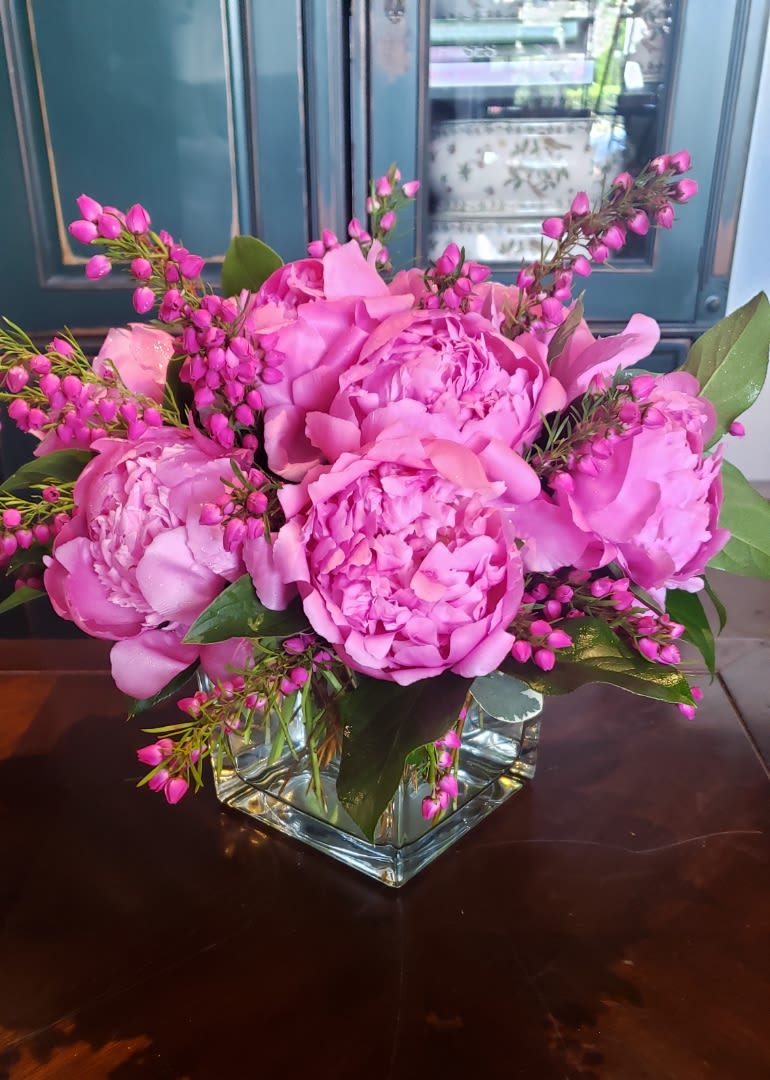 Holy Peony! - Holy Peony! is an elegant arrangement that features stunning Peonies in a clear glass vase, complemented by beautiful filler flowers. Perfect for any Peony lover, this arrangement is sure to impress with its soft, romantic beauty.  Please Note: The color of the Peonies may vary depending on availability, ensuring that each arrangement is unique and fresh.  Freshness Guarantee: At Belden's Florist, we stand behind the quality of our products. Our flowers are guaranteed to remain fresh and beautiful for 3–5 days after delivery. While cut flowers may naturally start to wilt beyond this timeframe, we ensure that you receive the freshest blooms possible, carefully selected and expertly arranged to bring joy and elegance to your space. To help your flowers stay fresher longer, we recommend adding fresh water to the vase regularly. Just like you, flowers need hydration to thrive, and refreshing the water allows them to drink up and continue to dazzle you with their beauty.