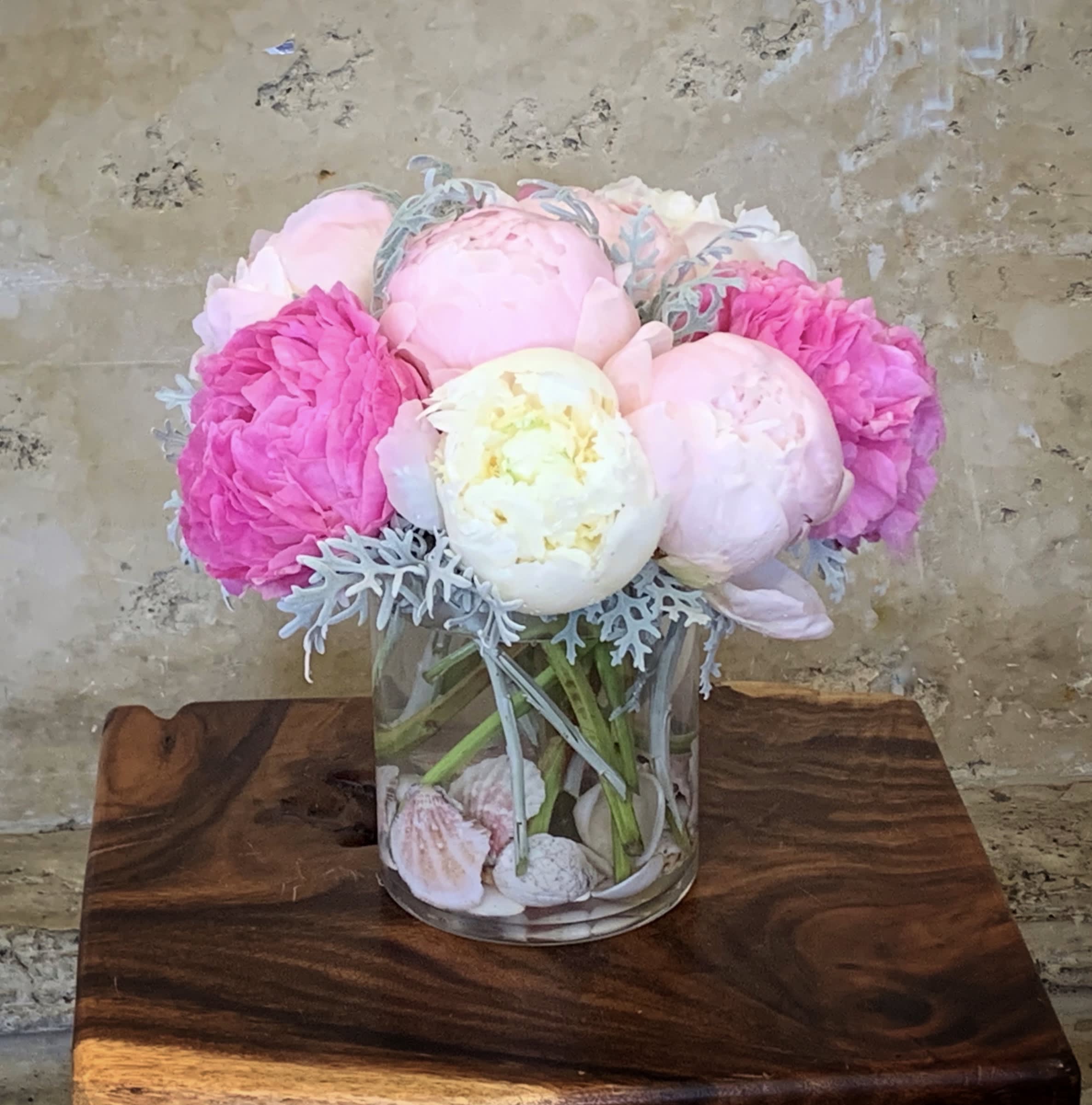 Seashells Peonies   - Premium Peonies and Dusty Miller leaves in glass vase with Seashells.