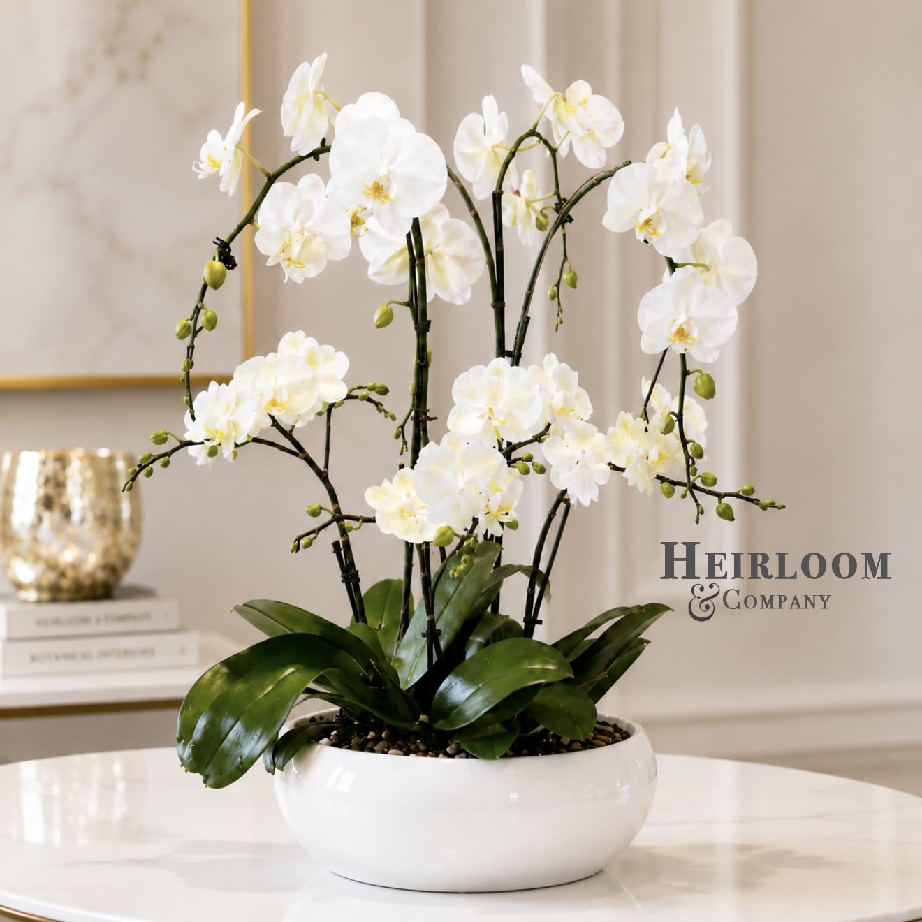 Luxury White Orchid Garden  - A timeless statement piece designed for elegant homes and sophisticated gifting. This luxurious white Phalaenopsis orchid garden features multiple blooming orchid stems arranged in a modern ceramic vessel.  Perfect as a sympathy gift, housewarming present, corporate gift, anniversary gift, or stunning centerpiece for any room.  Orchids are prized for their graceful blooms and long-lasting beauty, making this arrangement both practical and unforgettable.  Perfect For: 	•	Sympathy Gifts 	•	Housewarming Gifts 	•	Corporate Gifts 	•	Anniversaries 	•	Luxury Home Decor 	•	Real Estate Closing Gifts  Includes:  Premium White Orchids  Modern Ceramic Planter  Decorative Stone Top Dressing  Long Lasting Blooms 
