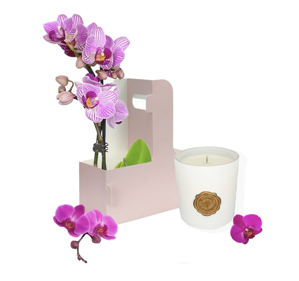 Orchid Light Bundle  - A refined expression of elegance, this beautiful bundle features a graceful pink orchid presented in a modern keepsake box, paired with a luxurious soy blend candle. The soft glow and delicate fragrance of the candle perfectly complement the timeless beauty of the orchid, creating a gift that feels both serene and sophisticated—perfect for Mother’s Day or any special moment.  Includes: 1 Small Orchid 1 Scented Soy Candle
