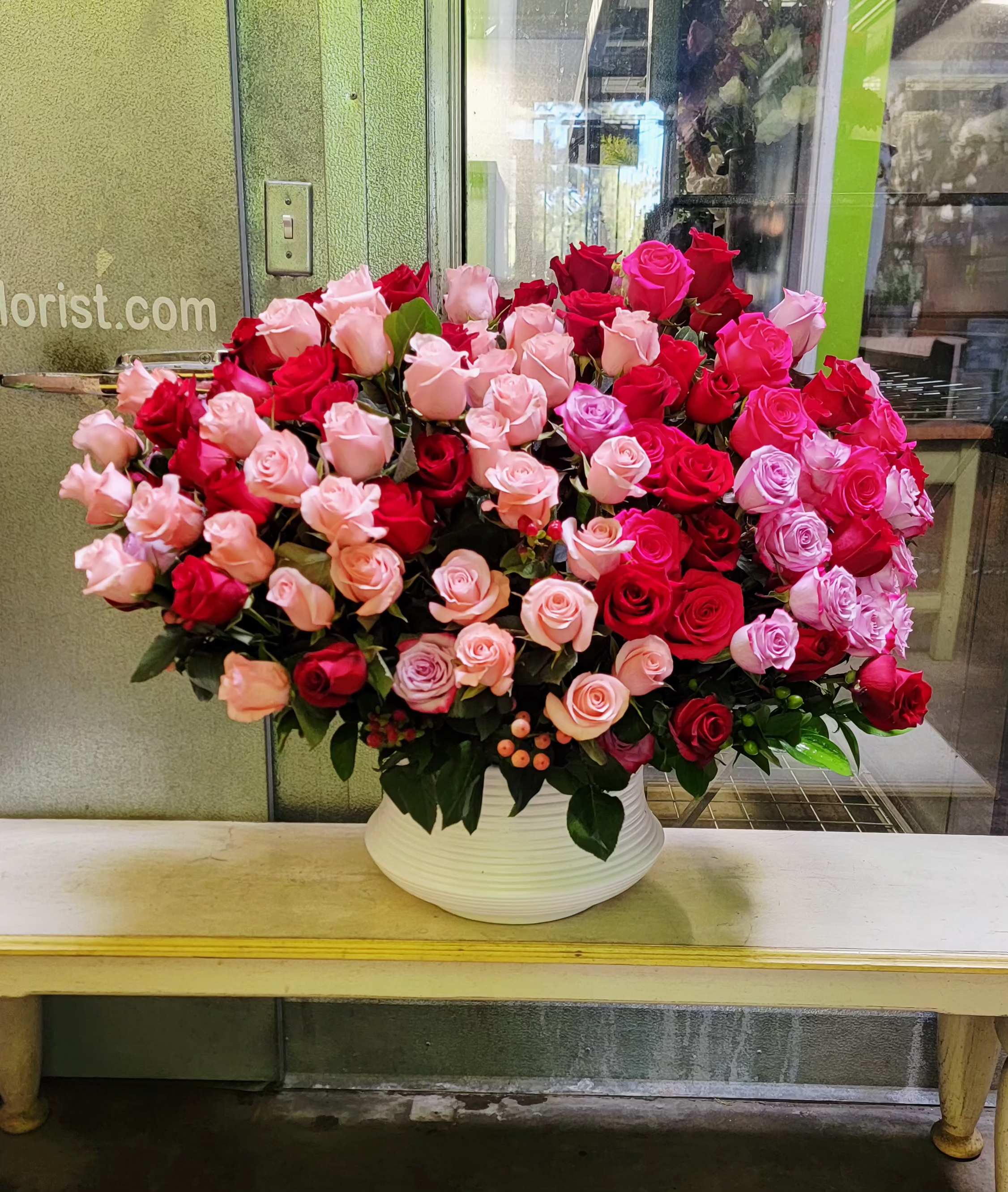 Rose Morning - 100 Roses