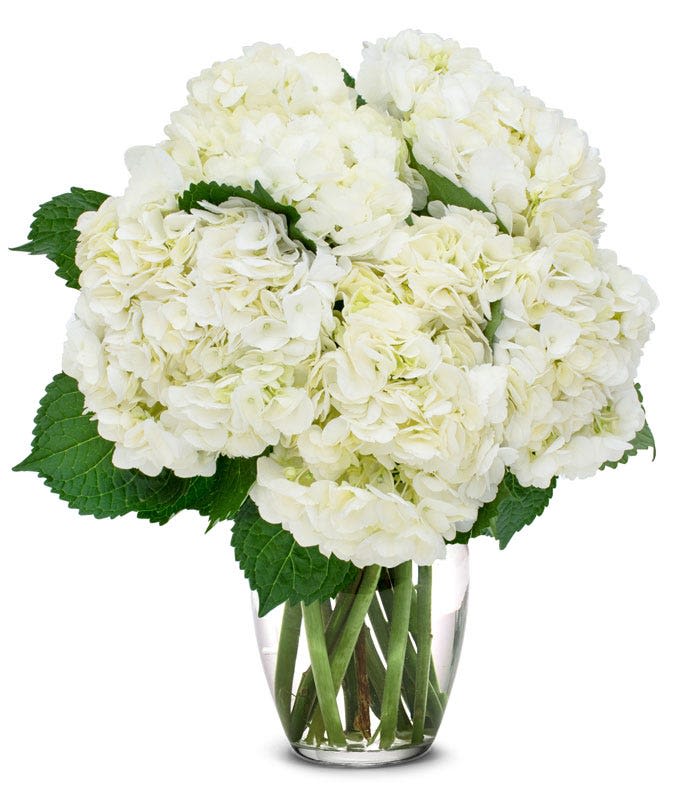 White hydrangea bouquet in a clear glass vase