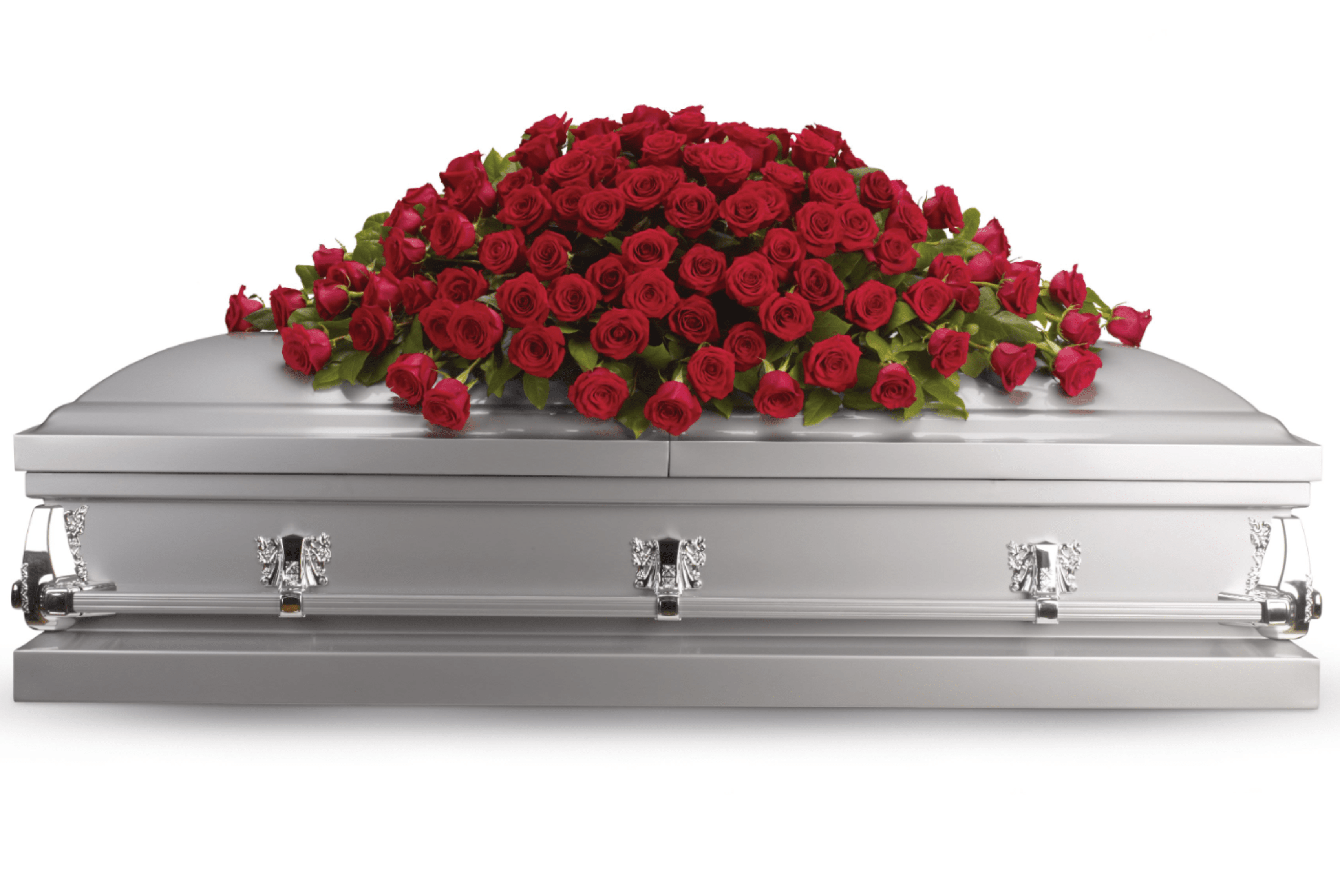 Red roses arranged on a silver casket