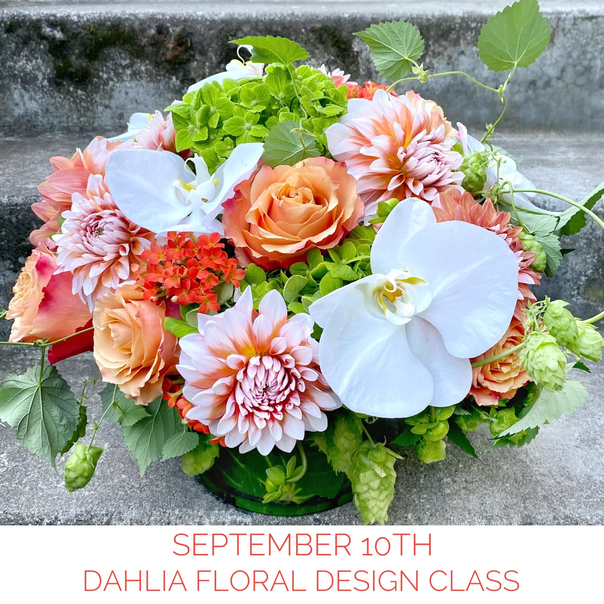 September 10th - Dahlia Floral Design Class - Learn new floral design skills with our fun workshops in pavé floral design. From beginners to experienced floral designers, there is something for everyone in our classes. We teach how to build the foundation of a floral arrangement, finishing touches as well as tricks of the trade. Students will learn how to get their flowers to last longer. At the end of the evening, they take home an Instagram worthy floral arrangement worth $170 that they have created, and a gift bag of tools worth $25 to create beautiful, long-lasting florals at home.  Classes are taught in our studio on the north side of Green Lake. They begin at 6:00 pm and end around 9:30. Registration is limited to eight students per class.  Order the Deluxe or Premium version for two or three people with special pricing.  We offer private classes for small groups. Check out our Class Information and the Class FAQ page for more info.  Gift Certificates Let us know in the "Special Instructions" if you would like a printable gift certificate. Please include the recipient's name, phone number and email so that we can send them a reminder with details about the class.  Registration Order online as a pick-up for September 11th or call us to register by phone or with any questions: (206) 329-3944. Please see the FAQ's page for our class cancellation policy.