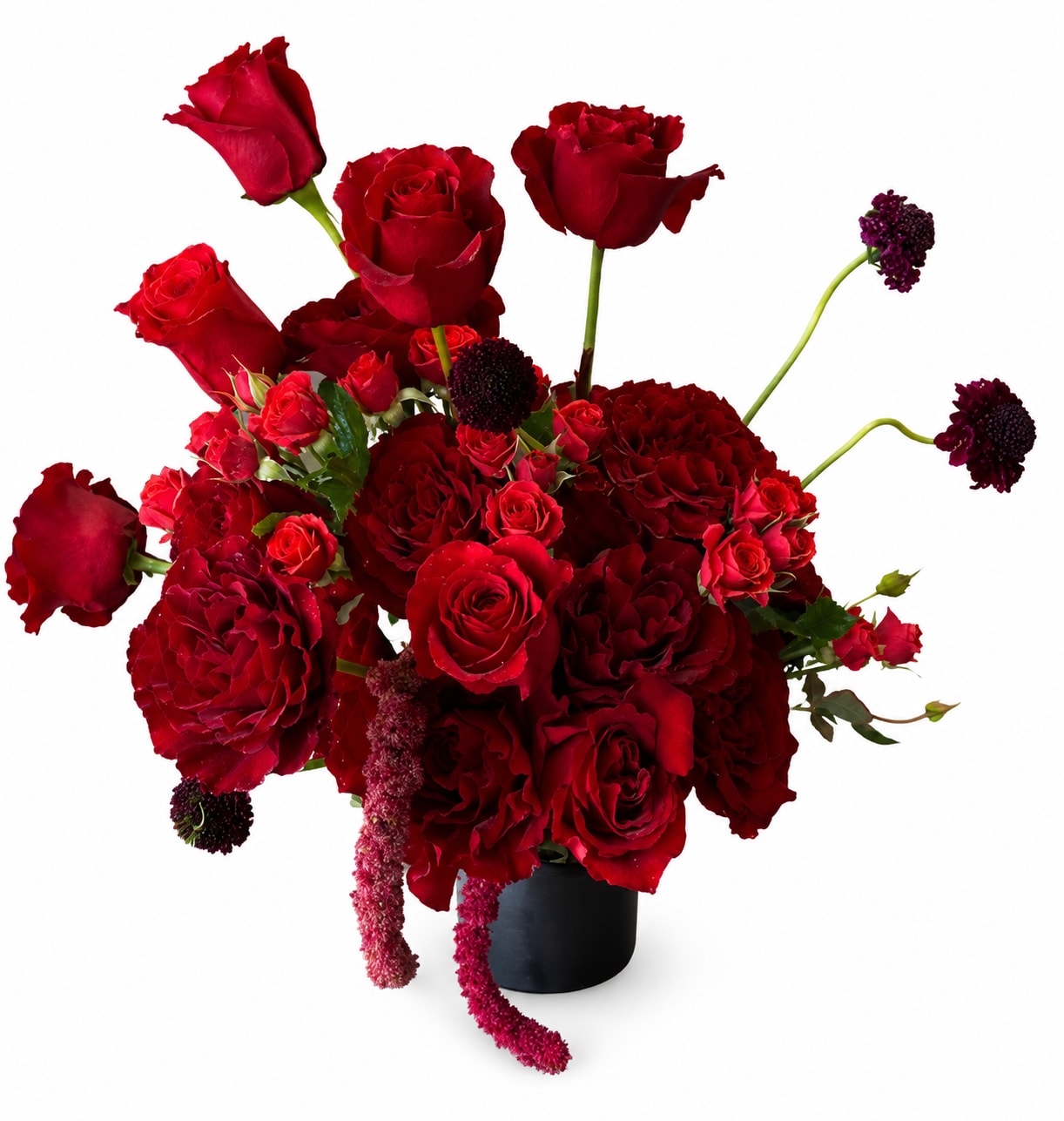 Crimson Love Story  - A dramatic and romantic arrangement designed with lush red roses, garden roses, and rich textural blooms. Designed in a modern black vase, this statement piece is full of depth, movement, and luxurious detail perfect for anniversaries, grand gestures, or anyone who loves timeless elegance with a bold edge.