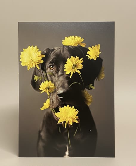 Animal lover card Dog with flowers - A playful portrait-style design featuring a black dog framed by bright yellow daisy-like blooms makes this flower arrangement card a joyful pick for a birthday, Father's Day, or a Just Because surprise. The bold contrast between the dark pup and vivid yellow blossoms reads as whimsical and warm, the kind of image that will make the person you're thinking of smile the moment they open it. Perfect for animal lovers, it says "you matter" in a lighthearted, personal way.  The card pairs graphic, centered artwork of the dog with sunny yellow daisies that echo the printed flowers, creating a cohesive look that feels like a mini bouquet on the page. Colors are strong and cheerful-yellow and black with complementary accents-to stand out among other cards and messages. Use this for Thinking of You notes, Get Well wishes, Thank You messages, or to celebrate a milestone like a Congrats or Boss's Day recognition.  Send it when you want the recipient to feel seen and lifted: a dog-loving friend, a parent on Father's Day, or a coworker celebrating a win. The design works year-round and pairs easily with fresh flowers or a small gift if you'd like to make the moment even bigger.