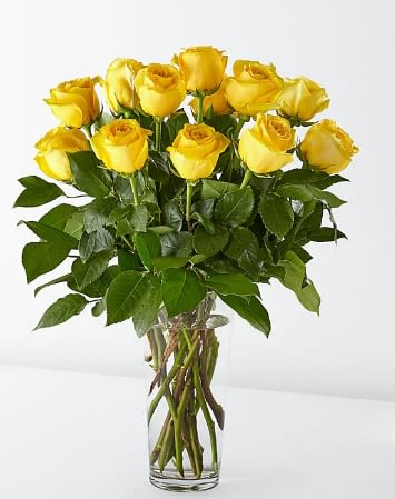 Summer Sun - Brighten someone's day with a beautiful bouquet of yellow roses. Yellow roses express friendship, joy, care and support and are sure to bring a smile.