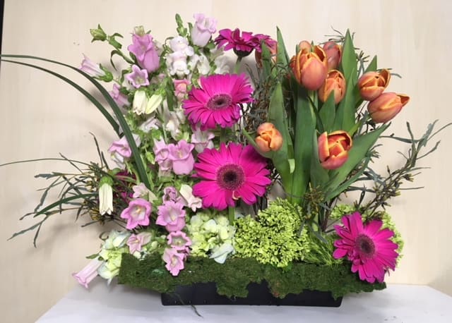 English Garden - Tulips , Gerberas , Hydrangeas , Campanulas in rectangle plastic container .