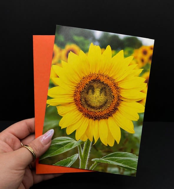 Sunflower Birthday card - A bold close-up sunflower greets the recipient on the front of this birthday card, its bright yellow petals and dark center creating an instant lift - perfect as a birthday card or a sunny note for someone who could use a cheerful pick-me-up. The image reads warm and upbeat, the strong contrast giving the sunflower a tactile, almost-touchable presence that makes the person you're thinking of feel genuinely seen.  Printed with crisp color on a single-fold card, it comes paired with a bright orange envelope that amplifies the joyful palette of yellow, green, orange, and black. The design is simple and uncluttered, letting the sunflower take center stage so your handwritten message becomes the thoughtful finishing touch. Ideal for casual gifting, birthday celebrations, or seasonal notes, it's the kind of card that brightens a mantel, desk, or gift bundle without overwhelming the moment.