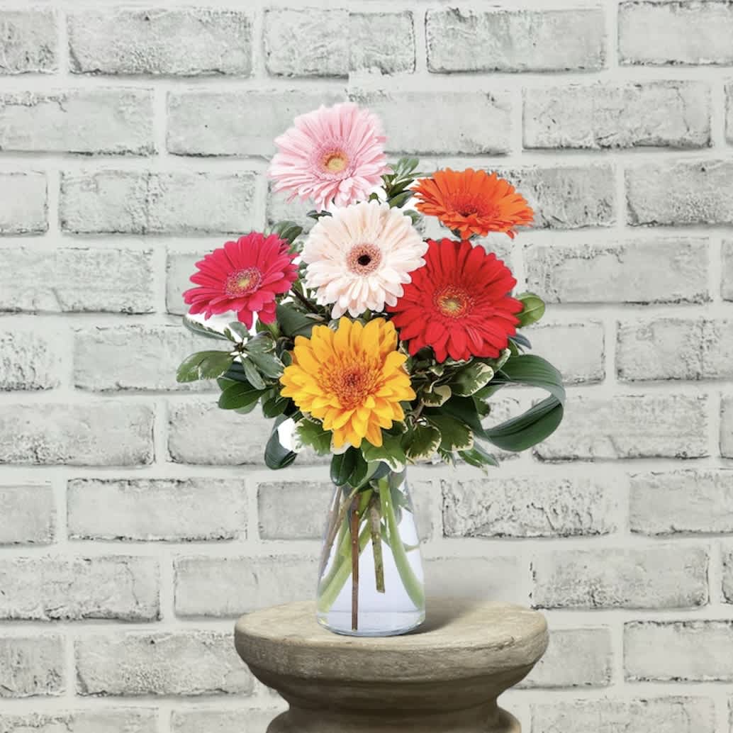 Colorful gerbera daisy bouquet in a clear glass vase