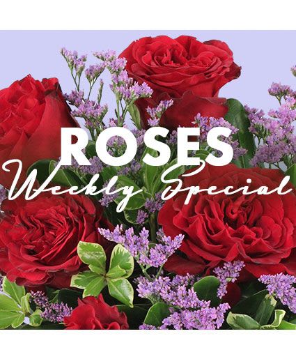 Rose Special Designer's Choice - For a floral gift that says it all, send our Weekly Special Rose arrangement to someone you love! Perfect for celebrating a bond between you and your loved one, these flowers will have them feeling truly appreciated. Brighten their day with a bouquet of fresh roses just to see them smile.