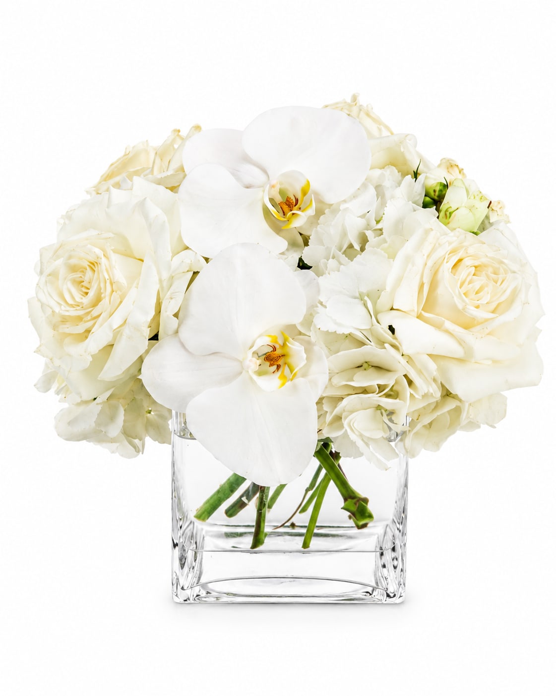 Champagne Problems  - Pure white florals arranged into a pillow of soft texture-this all-white flower arrangement is a refined birthday bouquet, sympathy tribute, or elegant centerpiece for weddings and Father's Day alike. The clean palette of white roses, large Phalaenopsis orchids, and voluminous hydrangea reads calm and celebratory at once, so the person you're sending it to will feel noticed and soothed whether it's a "get well" pick-me-up, a "congrats" on graduation, or a simple "just because."  The compact, rounded design sits in a clear square glass vase that keeps attention on the layered petals and sculptural orchid stems. Dimensions are approximately 8" diameter by 8" high-perfect for desks, bedside tables, or a dining table centerpiece. This arrangement's serene, classic style works year‑round for occasions from Mother's Day and Christmas to New Baby, Thank You, or I'm Sorry-an understated way to make someone feel truly seen.