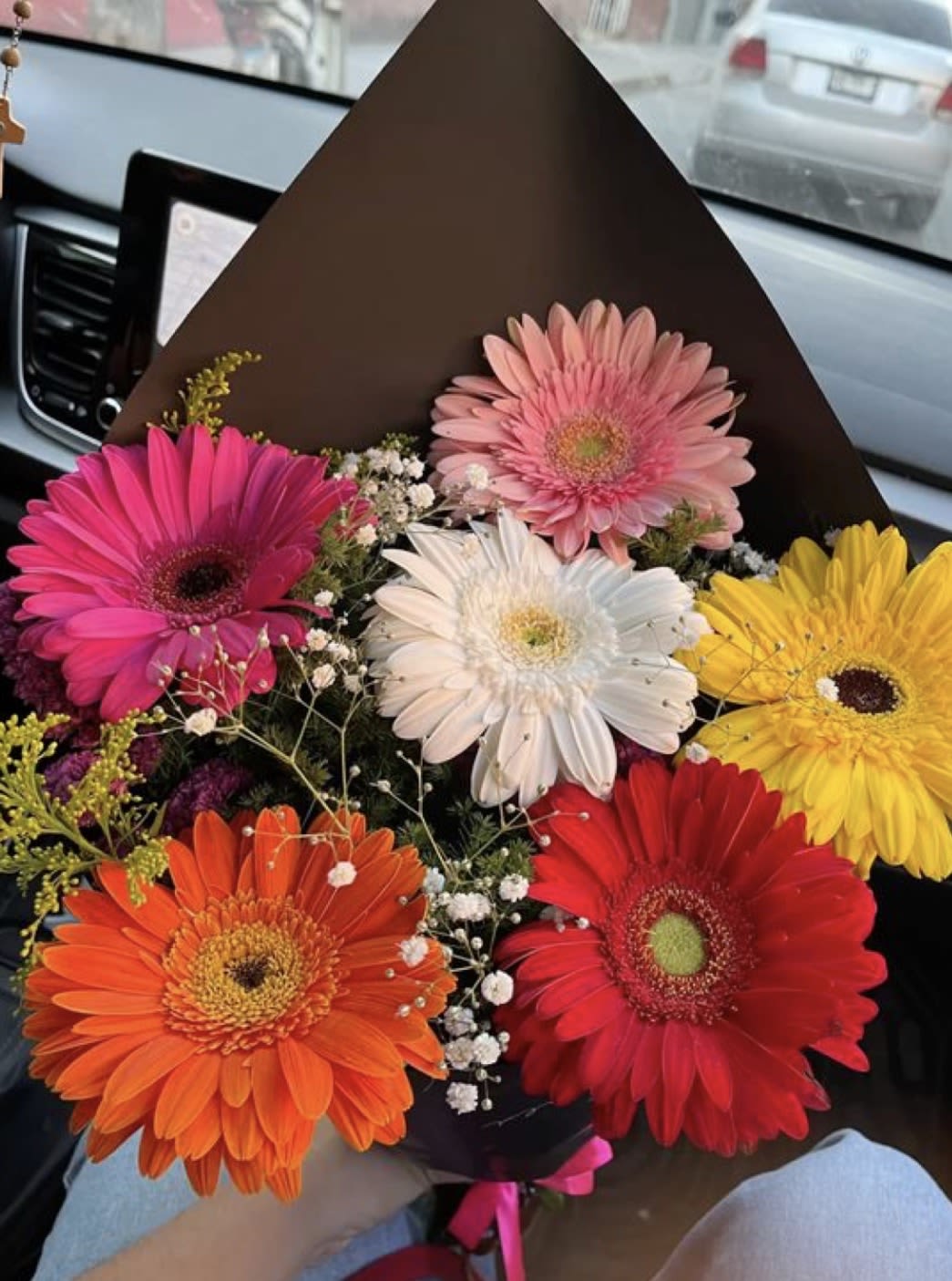 Wild Daisy  - 6 Gerber Daisy mix can choose #1 or #2 