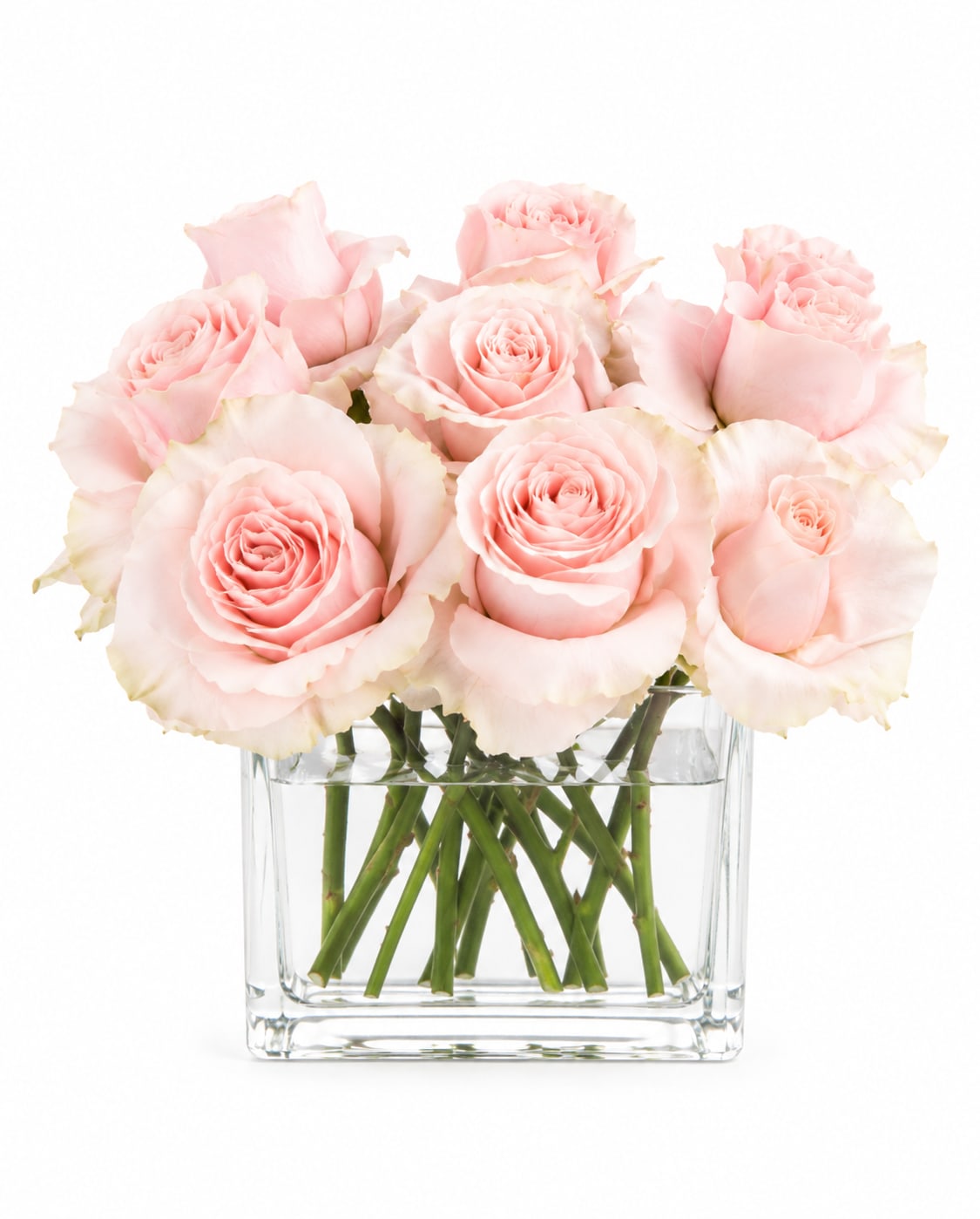 Marshmallow Dreams  - Pale blush roses with creamy ivory edges are arranged like a pile of marshmallows - soft, pillowy, and instantly hug-worthy. This flower arrangement is perfect as an anniversary bouquet or a birthday surprise, and it also reads beautifully for new baby welcomes, "I'm sorry" gestures, or just-because moments when you want someone to feel truly seen.  The compact, upright cluster of open roses sits in a clear square glass vase that keeps the look modern and polished, letting the soft pink, white, and fresh green foliage take center stage. The short, dense composition creates a neat, fuss-free silhouette that fits perfectly on a bedside table, nursery dresser, or office desk. It's a tender choice for Mother's Day, Valentine's Day, winter warmth, spring celebrations, or to say thank you, thinking of you, or congratulations - a small, tactile surprise that delivers big feelings.