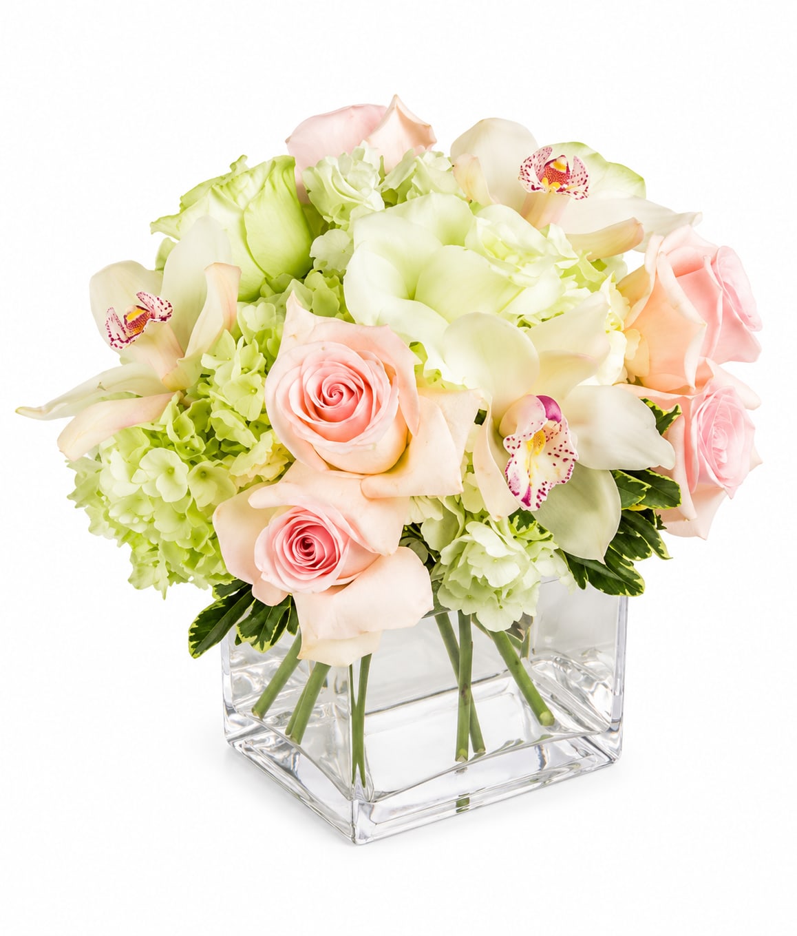 Orchid &amp; Rose - Soft pink roses meet creamy white orchids and pale green hydrangeas in a rounded, compact arrangement that reads like a whisper of spring - perfect as a birthday bouquet or a "just because" surprise. The square glass vase gives the design a clean, modern finish, so the person you're thinking of will feel pampered and quietly adored whether this marks a wedding moment, an anniversary, or a sweet gesture of love and romance.  The tight, lush cluster showcases blush roses, white cymbidium-style orchids, and soft green hydrangea in a polished, airy palette of pink, white, green, and a touch of purple in the mix. Sized to sit beautifully on a bedside table or dining table, the arrangement measures approximately 10" H x 11" W x 11" L and arrives ready to display in its clear square glass vase. It's the kind of elegant, fresh gift that reads equally as thoughtful for Valentine's Day or Mother's Day and as effortlessly lovely for everyday celebrations.