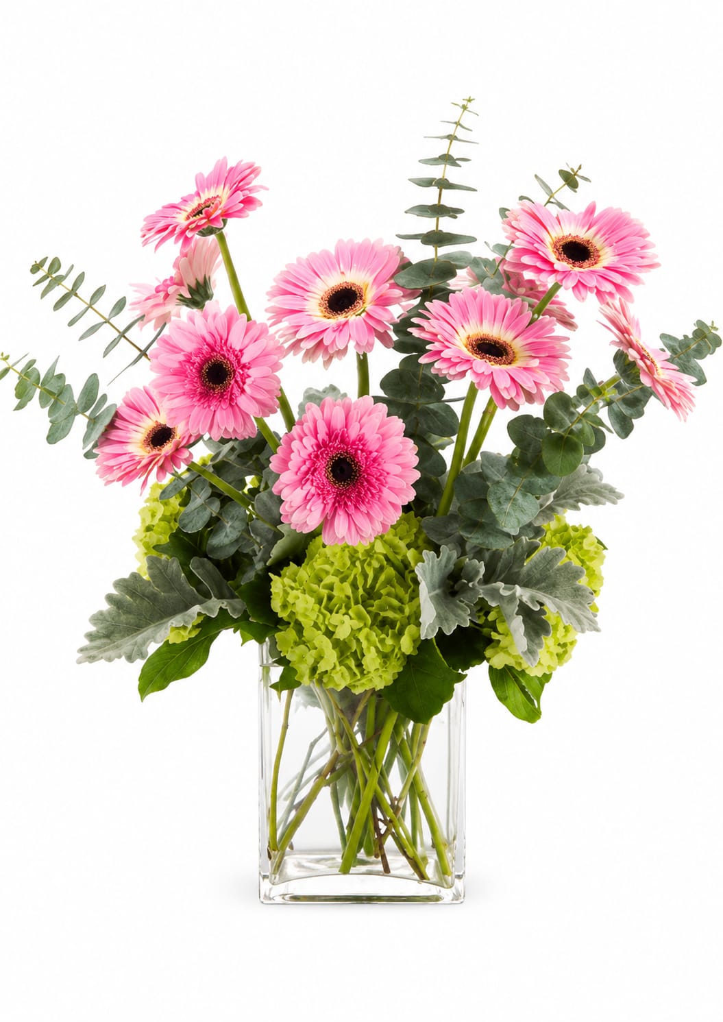 Pink Pop - Bright pink gerbera daisies rise above lime-green hydrangea clusters in a playful, contemporary arrangement - a cheerful spring bouquet perfect as a birthday bouquet, a Women's Day gift, or a thoughtful pick for Breast Cancer Awareness Month. The visual pop of hot pink against fresh green feels joyful and slightly sassy, the kind of arrangement that makes the person you're thinking of grin the moment it arrives.  Daisies and gerbera daisies mingle with silvery eucalyptus-like foliage for contrast and texture, all planted in a clear rectangular glass vase for a clean, modern silhouette. The design reads bright and airy from every angle; approximate dimensions are 18" diameter by 18" height. Colors are vivid pink, lime green, and crisp white accents that keep the look fresh and lively.  Send this when you want someone to feel celebrated, seen, or simply cheered up - it's ideal for springtime celebrations, thank-you gestures, or anyone who prefers a fun, contemporary twist on classic florals. Care is simple: keep water fresh and trim stems every few days to prolong the life of the blooms.