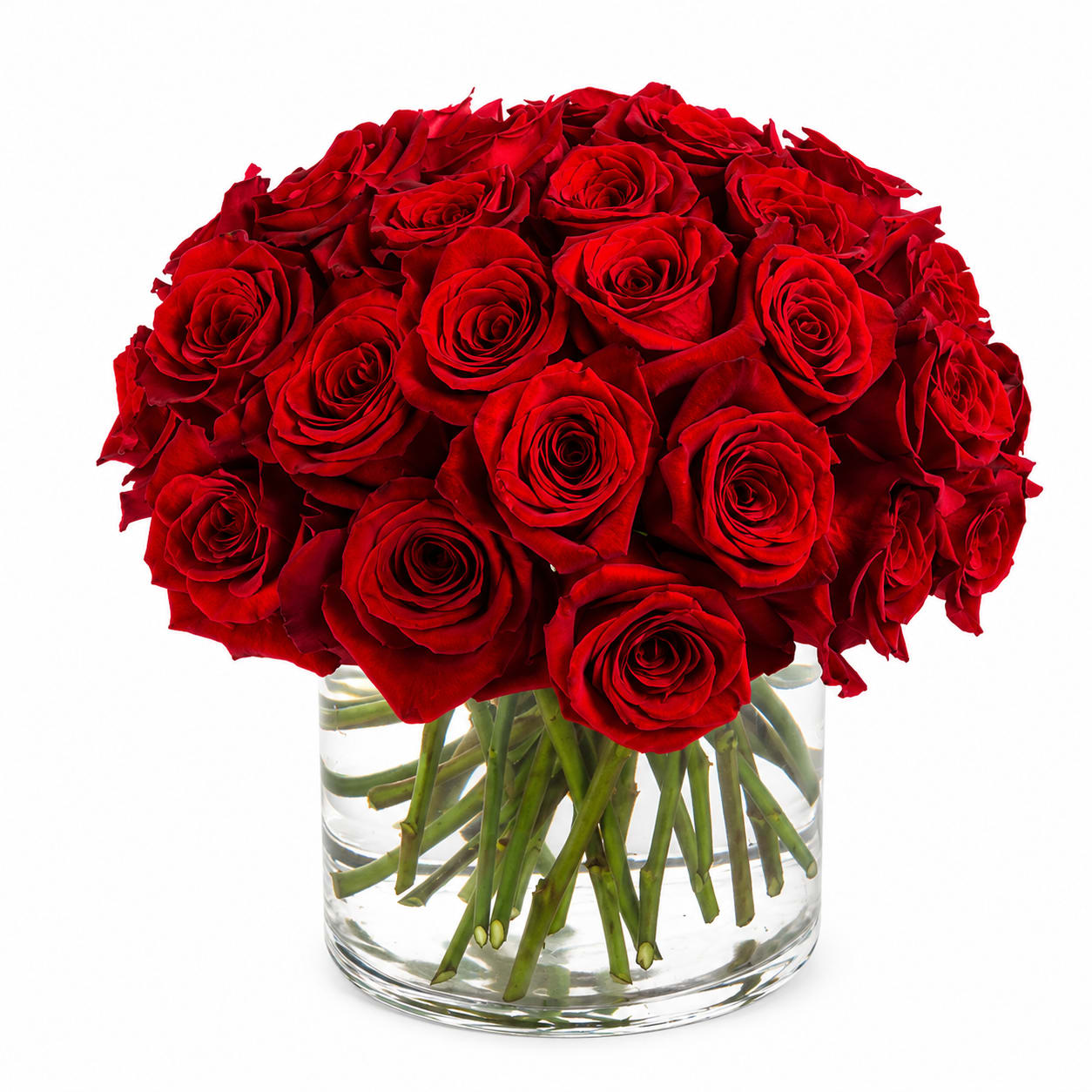 Three Dozen Red Roses  - A dense dome of vivid red roses arranged in a clear glass vase-this three-dozen red rose arrangement reads as pure romance. Perfect for an anniversary or Valentine's Day, it also makes a grand birthday, wedding, or "just because" surprise that will make the person you're thinking of feel truly seen. The rich, velvety red blooms create an immediate sense of warmth and passion that lands every time.  All blooms are tightly gathered into a rounded silhouette and set in a simple cylindrical glass vase so the straight, water-filled stems show through for a fresh, clean look. The palette is classic red with crisp green foliage, creating a full, elegant presentation that suits formal displays or bedside bouquets. Approximate dimensions: 12" diameter x 12" height. Simple care: keep the vase topped with fresh water and trim stems if needed to extend bloom life.