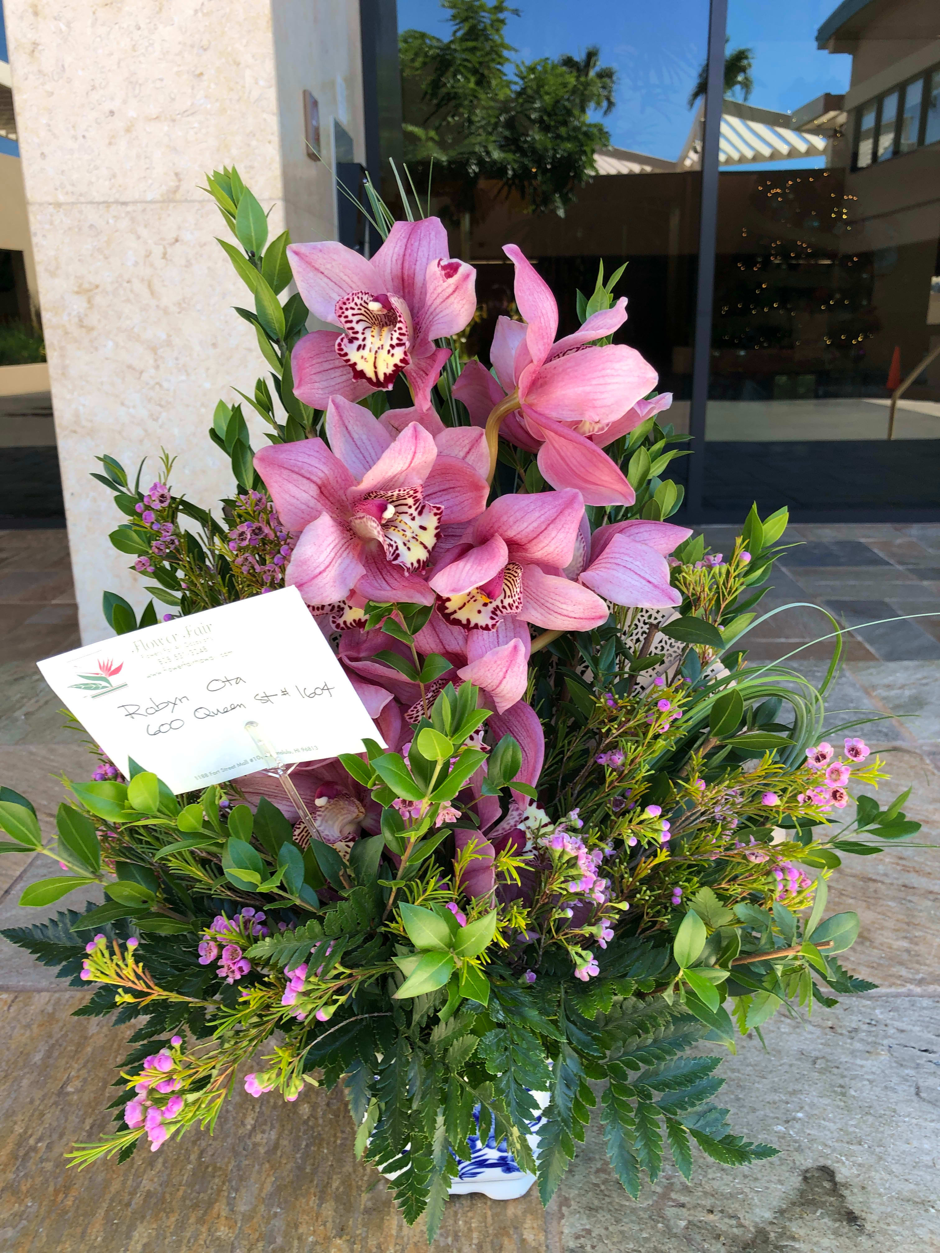Pink Cymbidium CYM101 - Pink cymbidium with a fan. 