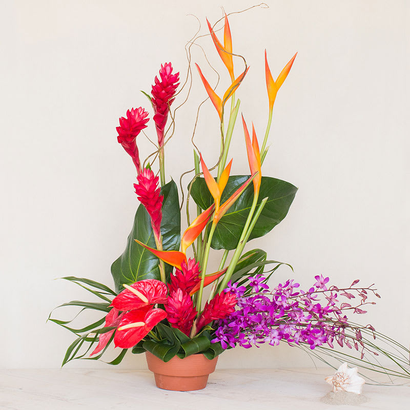 Tropical Fusion - Illuminate any office or home with our vibrant and cheerful tropical flower arrangement. Featuring locally grown tropical flowers, this colorful piece radiates warmth and beauty, making it a stunning addition to any space.  Key Features:  Locally Grown Tropical Flowers: Includes a variety of vibrant and exotic tropical flowers, sourced locally for freshness and quality.  Bright and Cheerful: Radiates joy and positivity with its colorful blooms, bringing light and energy to any environment.  Dimensions: Approximately 37 inches in height and 26 inches in width, creating a substantial and eye-catching display.  Versatile Decor: Perfect for enhancing the ambiance of offices, homes, or any setting in need of a lively and uplifting touch.  Amazing and Impressive: Crafted to amaze with its vibrant colors and lush arrangement, ensuring a memorable impact.  Add a burst of tropical beauty to your space with our Bright and Cheerful Tropical Flower Arrangement, an extraordinary gift that promises to delight and inspire with its vibrant colors and natural elegance.