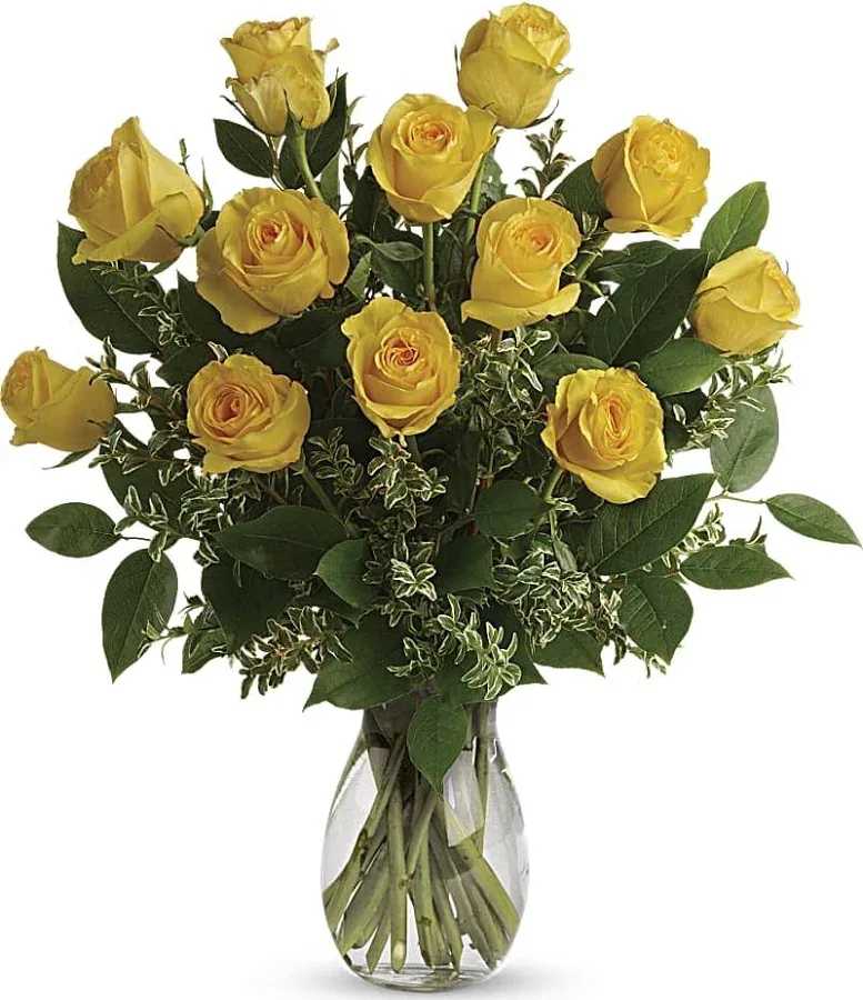 say yellow - 24 roses
