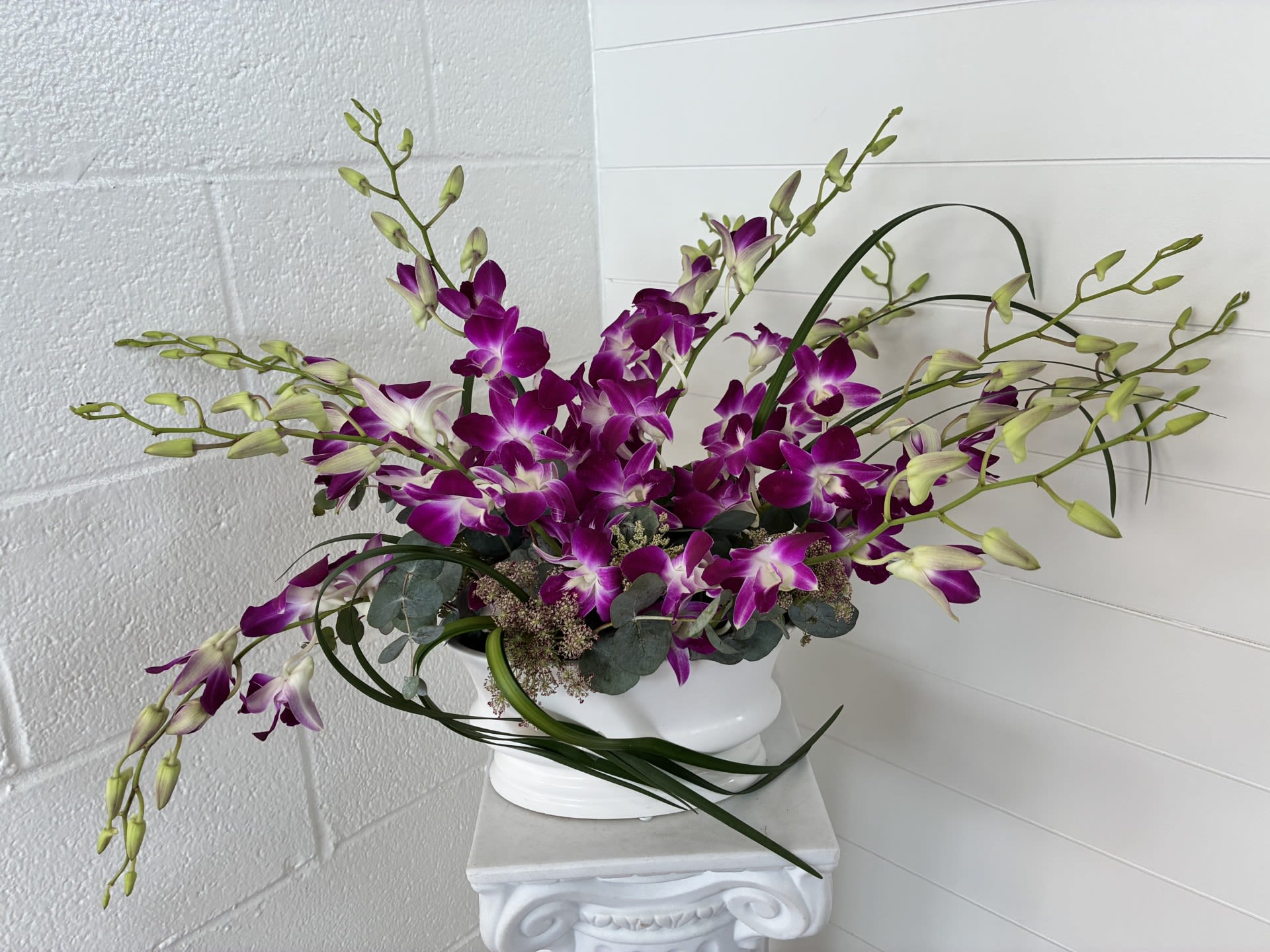 Orchid Day Dream - A graceful cascade of purple dendrobium orchids takes center stage in this orchid arrangement for celebrations or everyday elegance. The long, arching stems and airy spray create a sweeping silhouette that reads both modern and romantic-an ideal birthday bouquet, anniversary gift, or a refined way to say "thinking of you" to someone who appreciates understated luxury.  The arrangement pairs vibrant purple blooms with pale green buds and white centers, set against soft gray-green foliage and fine-textured filler that stays low to keep the orchids the focus. Flowers are presented in a simple white pedestal vase that complements the contemporary feel and makes a polished tabletop statement without overwhelming the space.  Perfect for the person who delights in sculptural, long-lasting blooms, this composition arrives ready to display and brings calm sophistication to a dining table, office, or bedside. Care is straightforward: keep water fresh and stems trimmed as needed to prolong the life of the dendrobium orchids and enjoy their elegant presence for days.