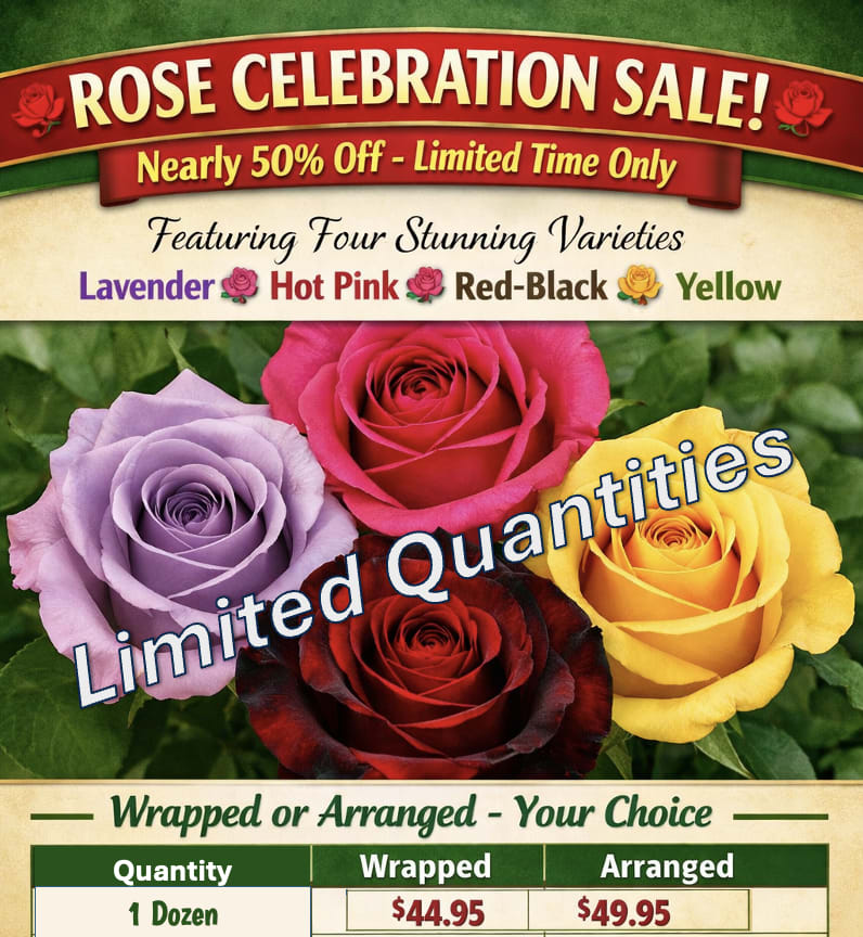1 Dozen Roses - Rose Celebration Sale June 23rd - 28th! *Please select Rose Color in Special Instructions during checkout. - *Please select your rose color preference in the Notes for florist/Special Instructions section under Recipient Information during the checkout process. Color options are Lavender, Hot Pink, Red-Black, &amp; Yellow.   Roses are available for delivery or Pickup in-store, only June 23rd - 28th. 