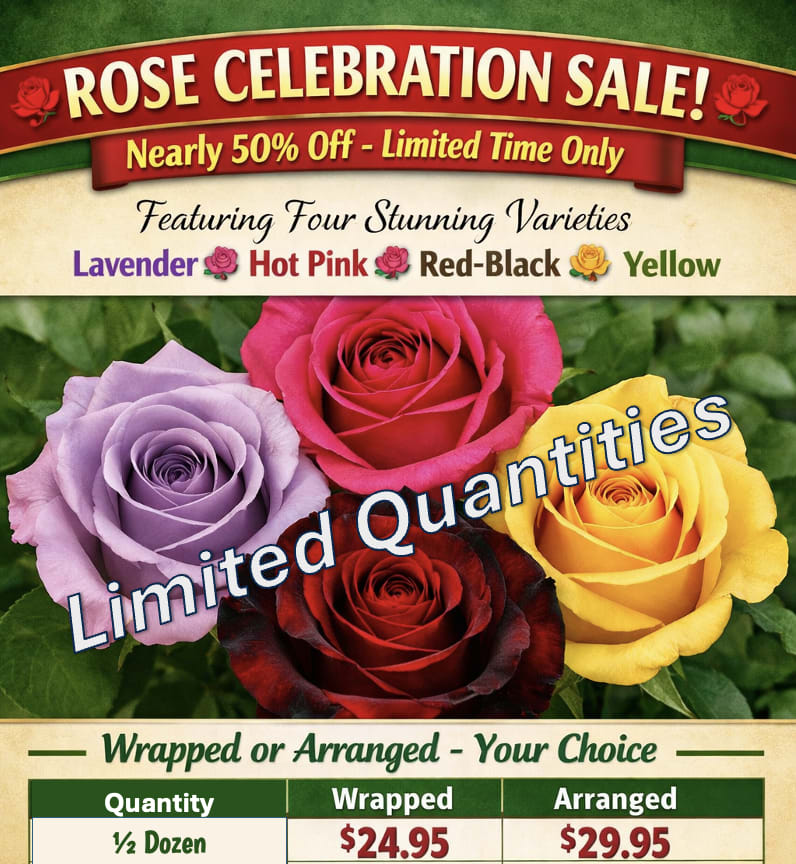 1/2 Dozen Roses - Rose Celebration Sale June 23rd - 28th! *Please select Rose Color in Special Instructions during checkout. - *Please select your rose color preference in the Notes for florist/Special Instructions section under Recipient Information during the checkout process. Color options are Lavender, Hot Pink, Red-Black, &amp; Yellow.   Roses are available for delivery or Pickup in-store, only June 23rd - 28th. 