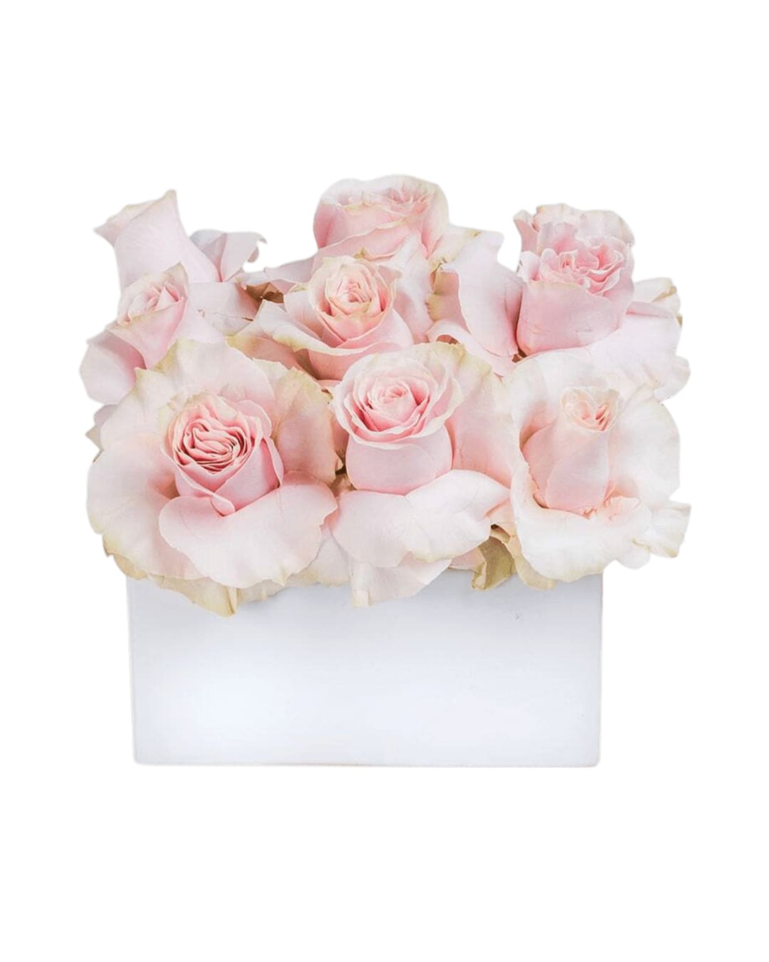 Marshmallow Dreams - Some people dream of achieving fame and fortune in their lifetimes. Some people dream of traveling to distant lands. Others dream of marshmallows. Let’s be honest, we are mostly in that third camp. Celebrate the small wonders of the world that make life, and s'mores, so interesting. Order Marshmallow Dreams today. Standard = 9 roses Deluxe = 12 roses  Premium = 16 roses  