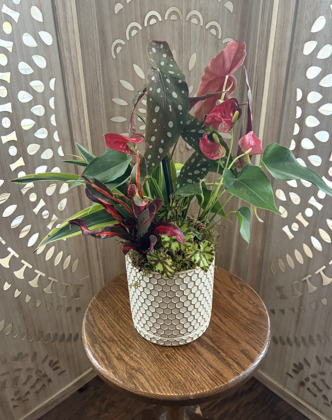 Electric Eden - Grounded yet vibrant, it feels like a hidden jungle kissed by golden hour earthy, groovy, and made to grow with you.