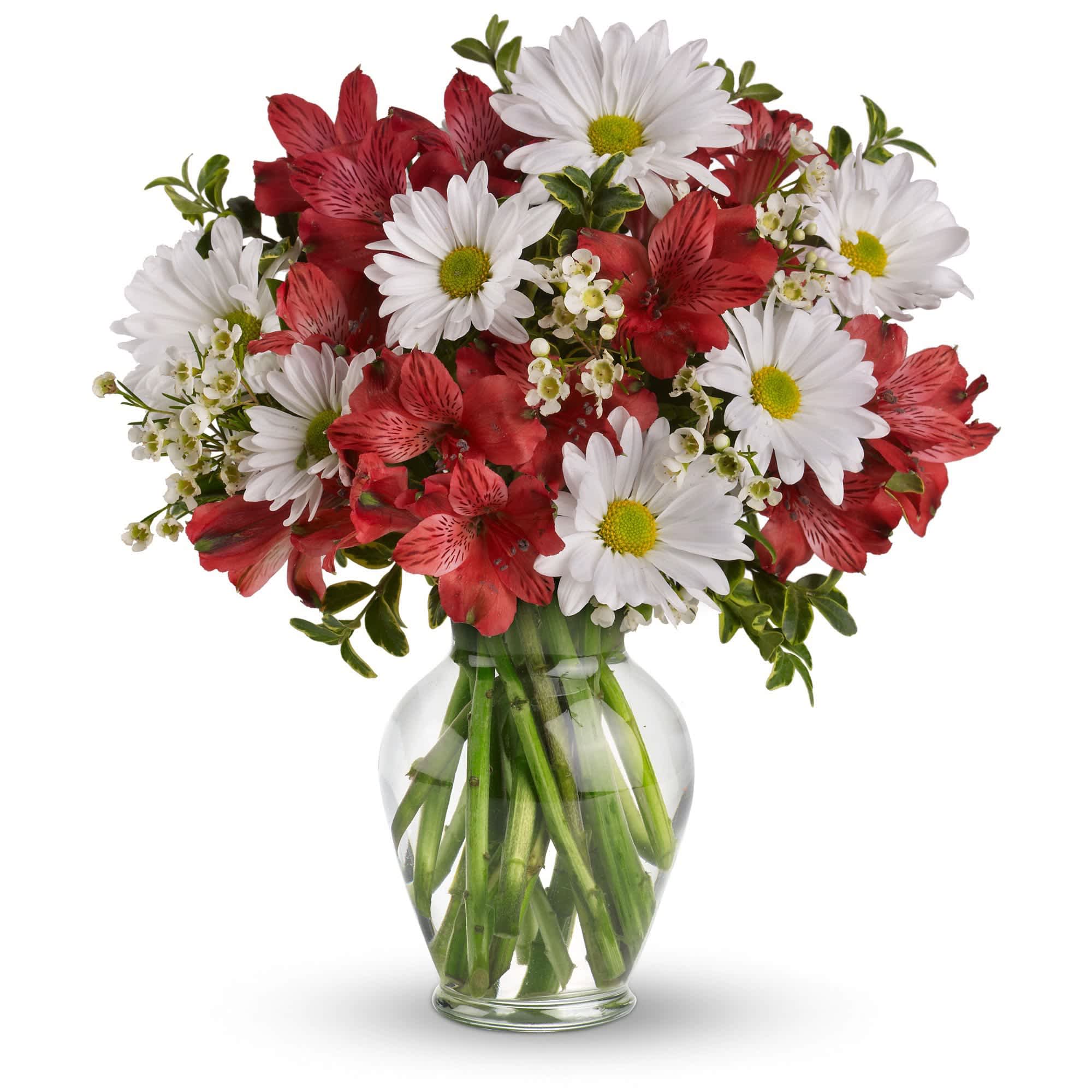 Bouquet of white daisies and red alstroemeria in a clear glass vase