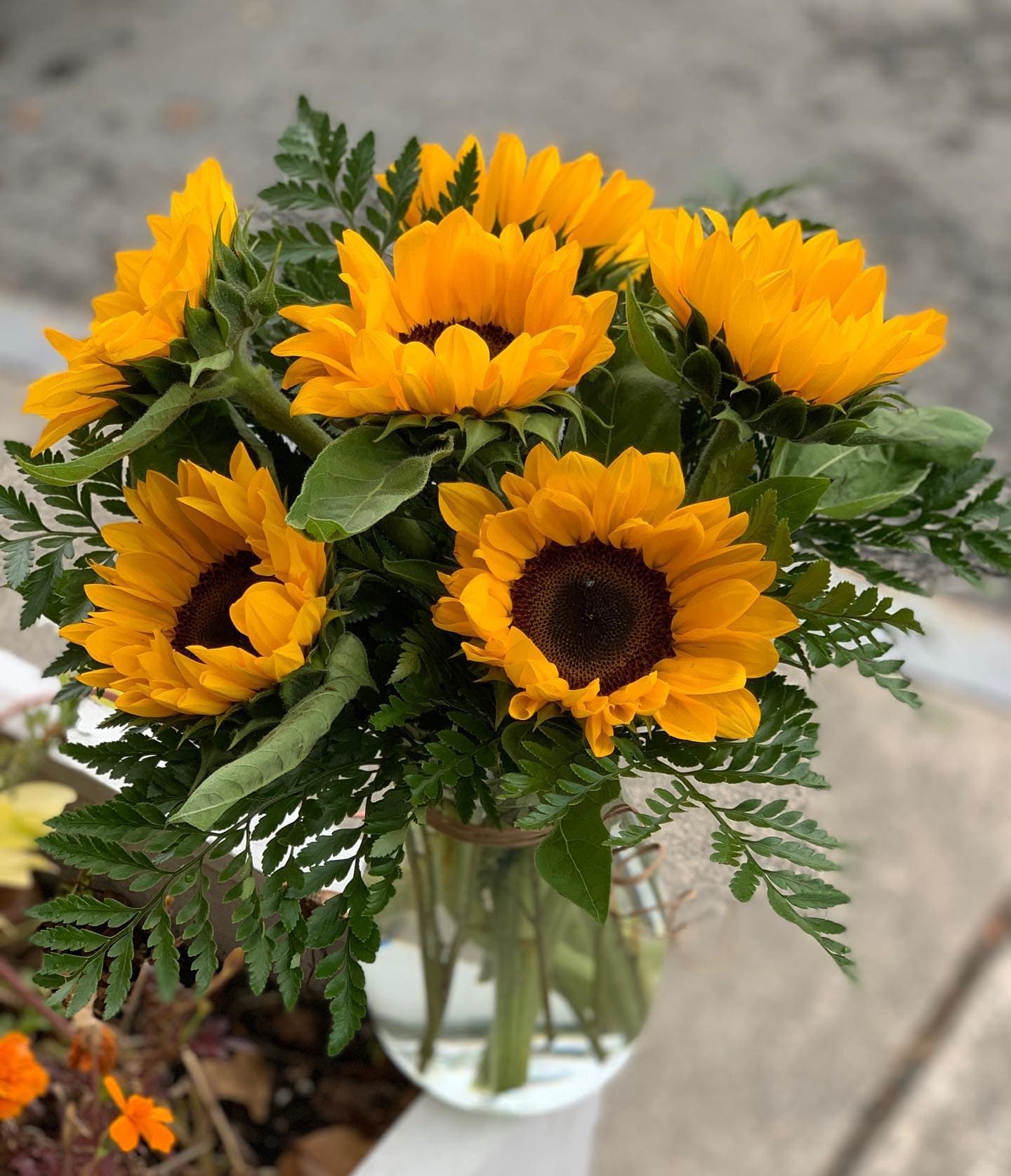 Bouquet of yellow sunflowers in a clear glass vase