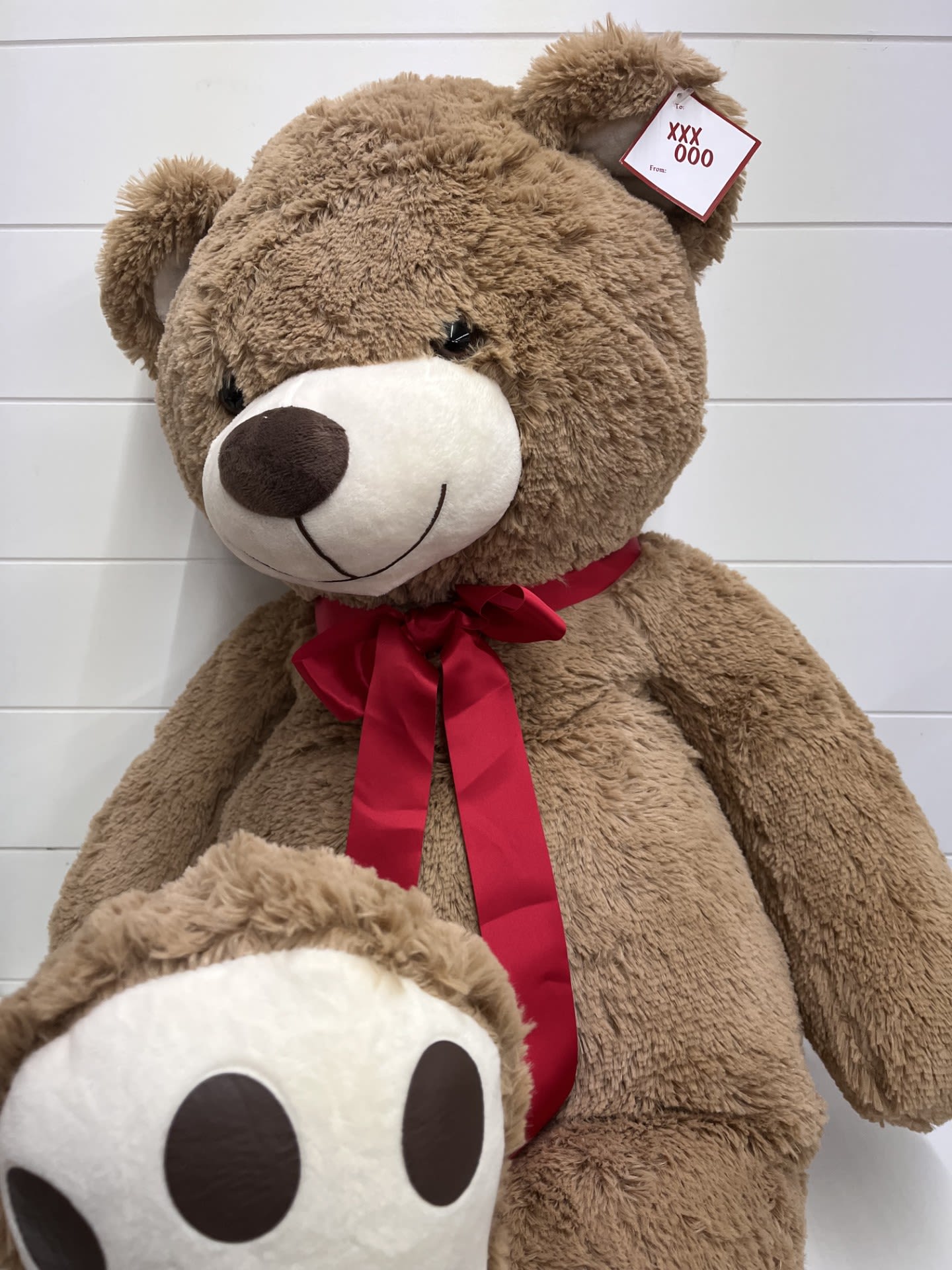 Large brown teddy bear with a red ribbon and a smaller bear in front