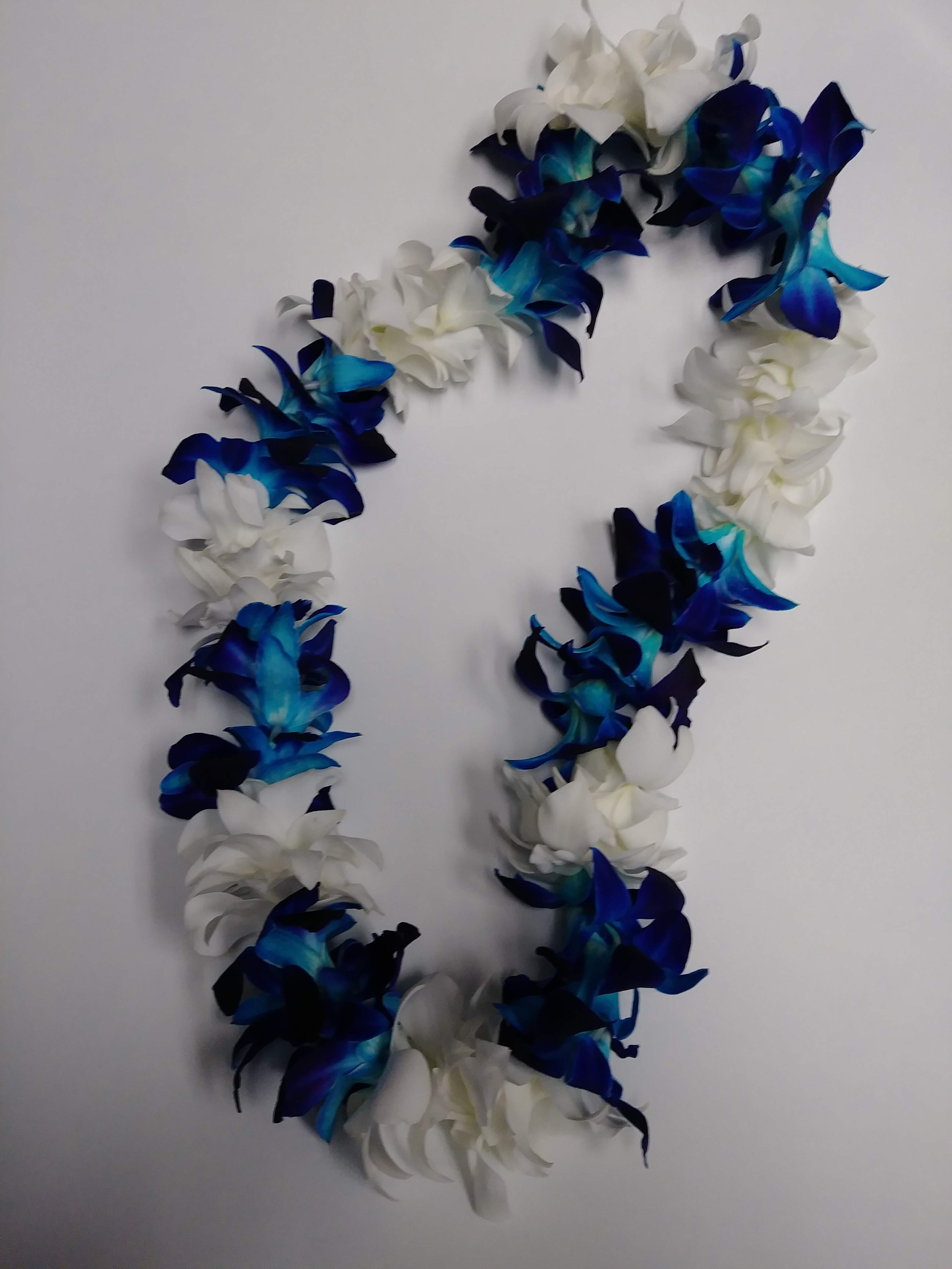 Blue and white orchid flower lei arranged in an oval shape on a white background