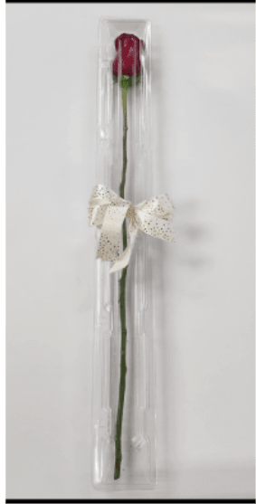 Single red rose in a clear plastic tube with a ribbon bow