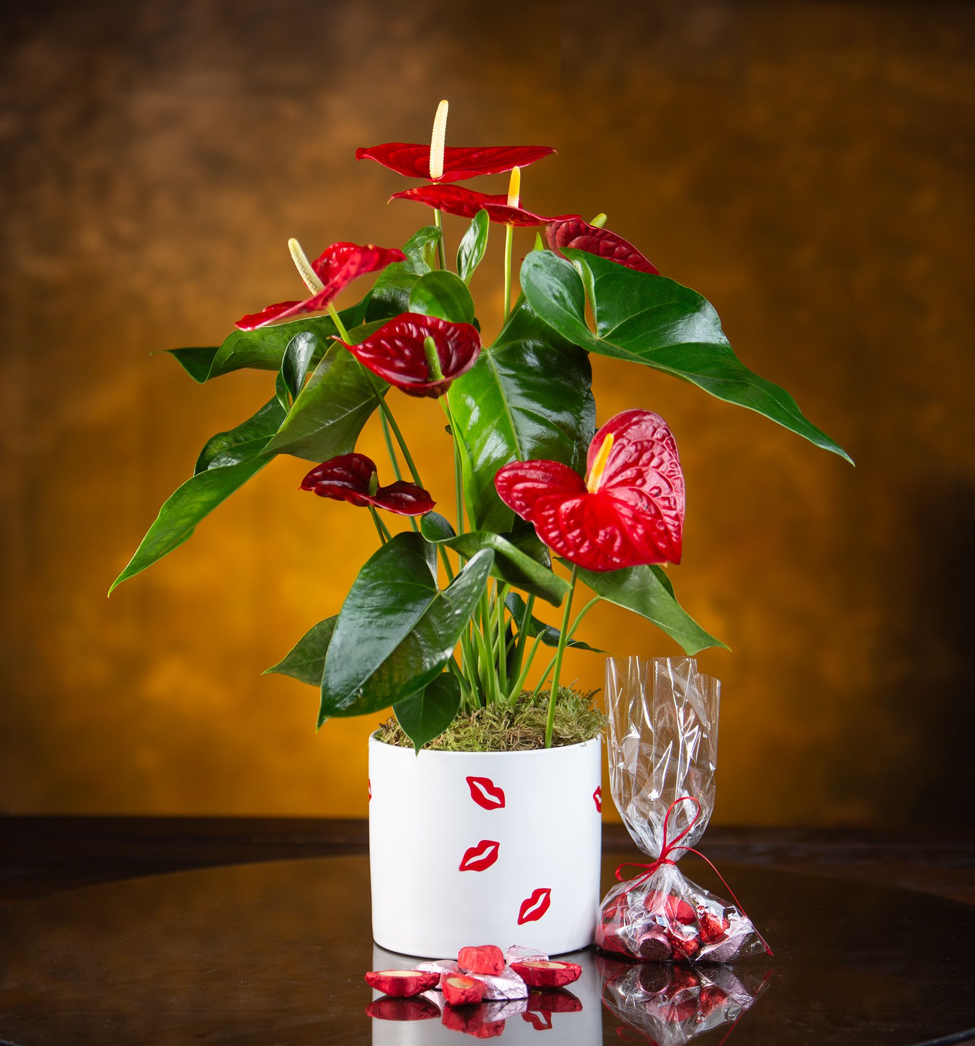 Potted anthurium plant with red blooms and a small bag of chocolates
