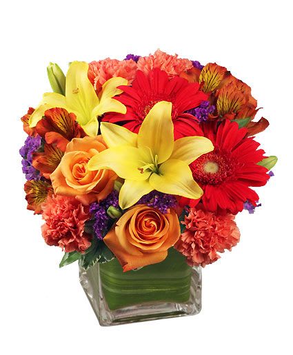 Bright Before Your Eyes Flower Arrangement - Getting fresh flowers is always memorable and special for your recipient - regardless of their age. Featuring red gerberas, orange roses and yellow lilies, our Bright Before Your Eyes Bouquet has just what it takes to bring some fun and show you care!  Includes: Cube Vase, Foliage: Variegated Pittosporum, Variegated Aspidistra Leaf, Orange Roses, Red Gerberas, Rust Alstroemeria, Orange Carnations, Yellow Lilies, Purple Statice.
