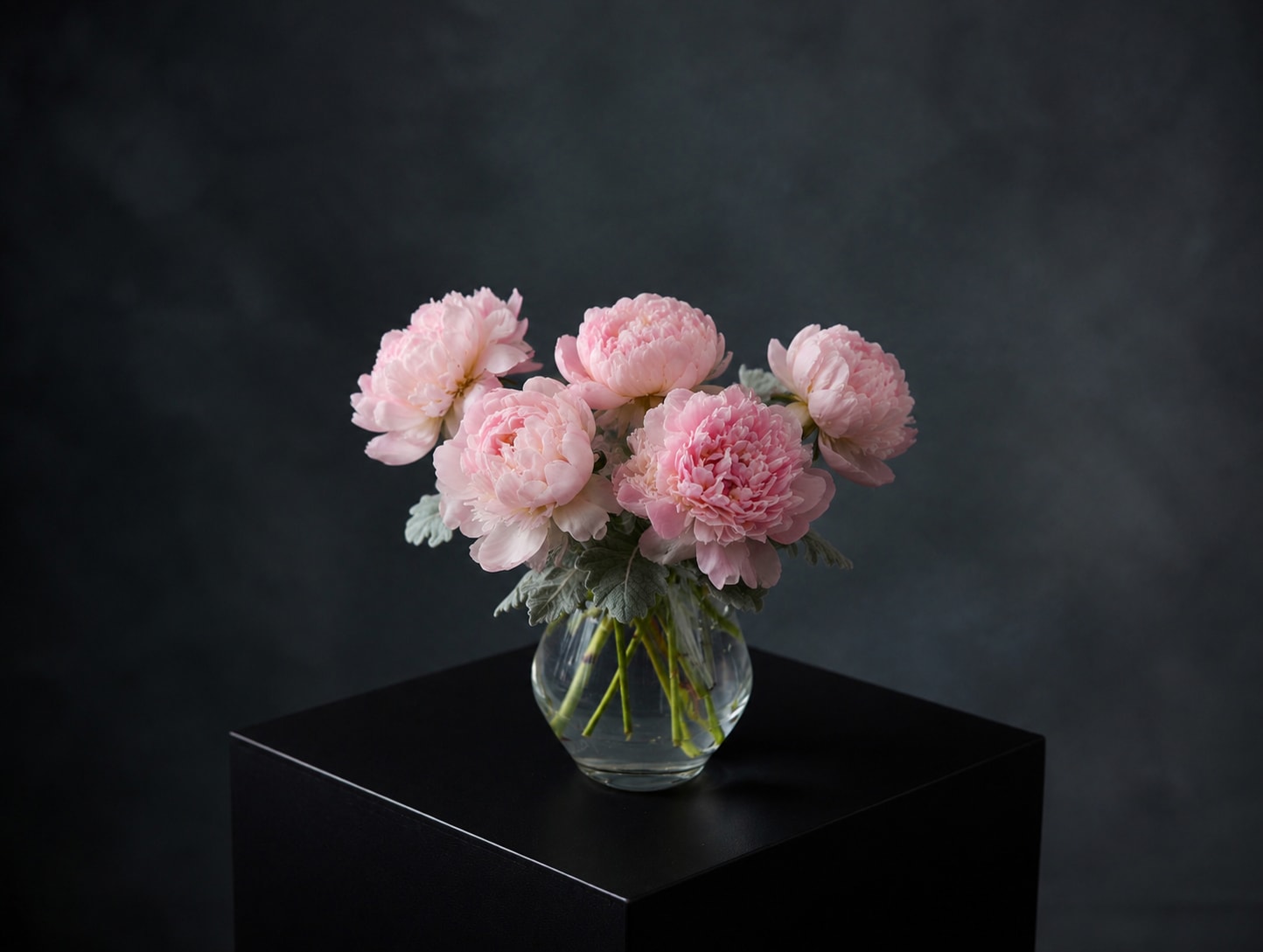 Blush and Bloom Peonies  - Blush &amp; Bloom Peonies™  Soft, romantic, and effortlessly elegant, our Blush &amp; Bloom Peonies showcase lush premium peonies in delicate shades of blush pink. Designed in a modern glass vase, this timeless arrangement brings beauty and grace to birthdays, anniversaries, new beginnings, sympathy sentiments, or simply celebrating someone special.  Available in:  * 6-Stem Arrangement – A sweet and elegant statement. * 10-Stem Luxe Arrangement – A fuller, garden-inspired design with abundant blooms.  Peonies naturally arrive in various stages of bloom and will continue to open beautifully over the next several days, creating an ever-changing display of beauty.  Flower color and bloom size may vary slightly based on seasonal availability.