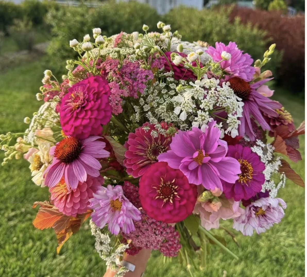 FROM THE GARDEN - WHAT IS GROWING NOW, DAISY, ROSE, LARKSPUR, DAHLIA (DEEP ORANGE ) LAVENDER,  ZINIA, YARROW, COSMOS, LILIES  ARRANGED IN A VASE