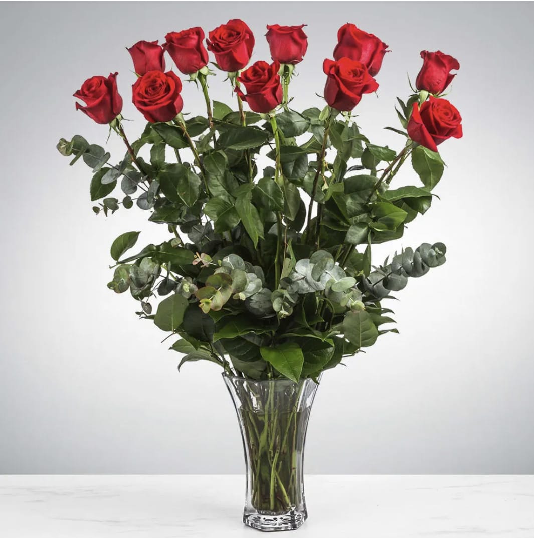 Dozen Long Stemmed Red Roses by BloomNation™ - These dozen red roses are the classic romantic gift! Perfect for Valentine's Day or an Anniversary.   APPROXIMATE DIMENSIONS: 24" H X 18" W