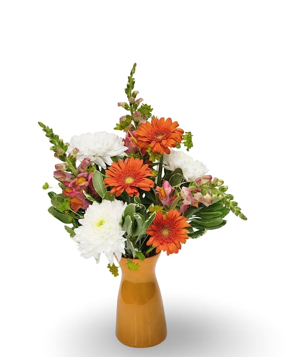Sunburst - Select this adorable and bold Sunburst arrangement which features white chrysanthemums, orange snapdragons, orange gerbera daisies in a keepsake orange vase.  Approximately 17" x 12"