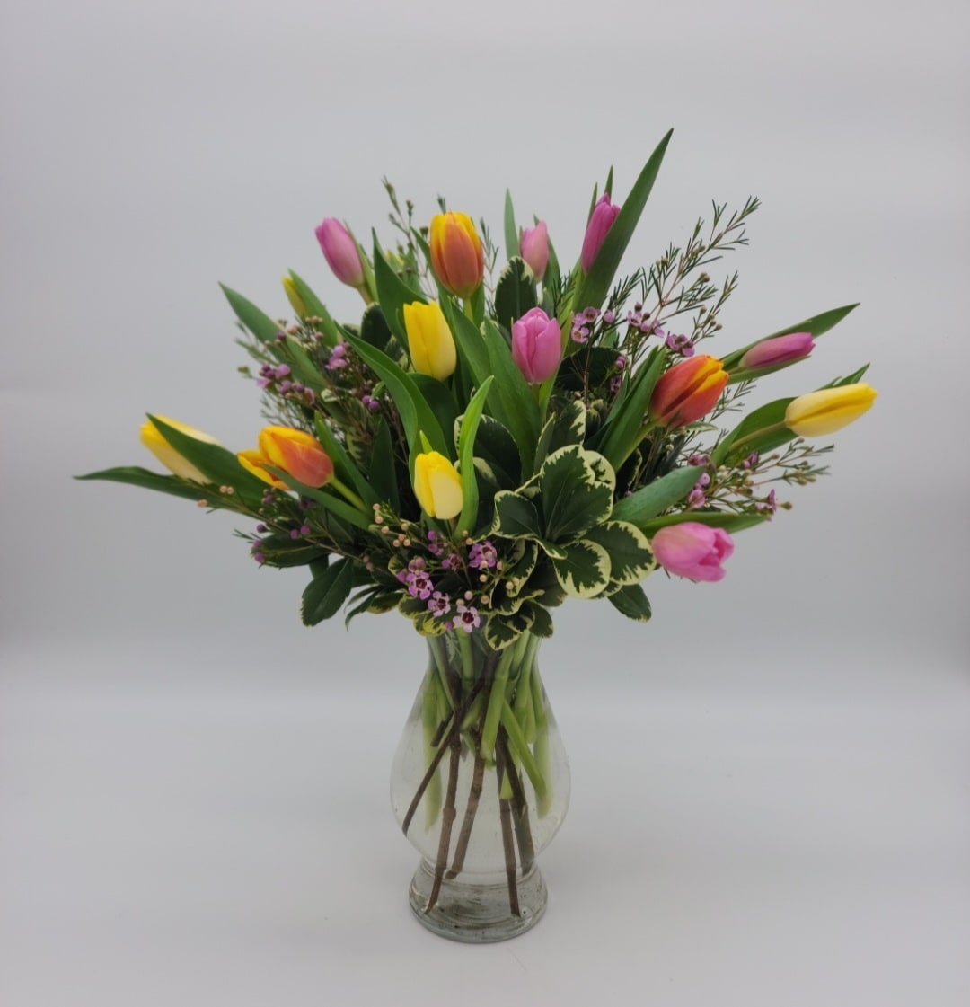 Picnic Tulips - Solid colors available  - Enjoy a creative and bright tulip arrangement with seasonal colors. (Seasonally available) 15 Stems, or 25 Stems in a vase or Raffia Tied Bouquet. 