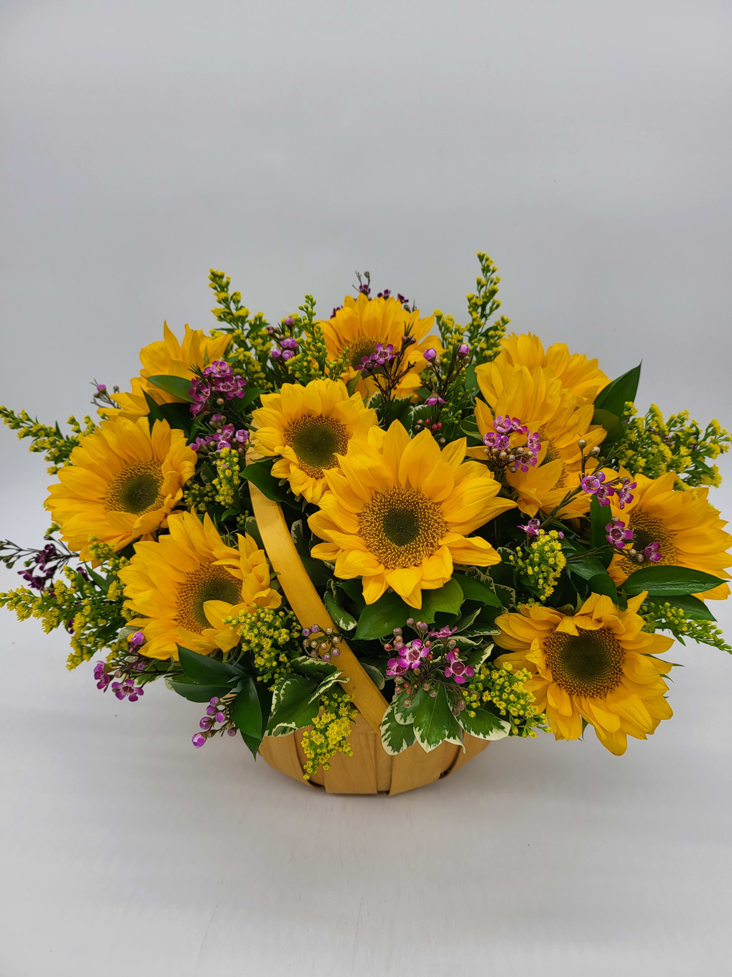 10 Hours of Sunshine - A beautiful basket of 10 Yellow sunflowers! Accented with waxflower and solidago! Enjoyable for any occasion. 