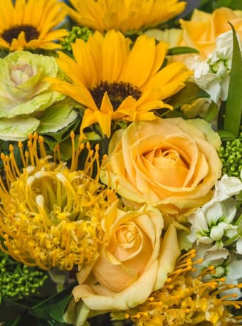 Yellow Designer's Choice Arrangement - Can't decide on which bouquet to send? Let the florist design something special. Using the seasons best flowers, this bouquet will arrive beautifully arranged. Bright and ready to cast a ray of sunshine on your special recipient's day with its combination of sunlit yellow flowers. This arrangement will make an excellent gift for any of life's special moments!
