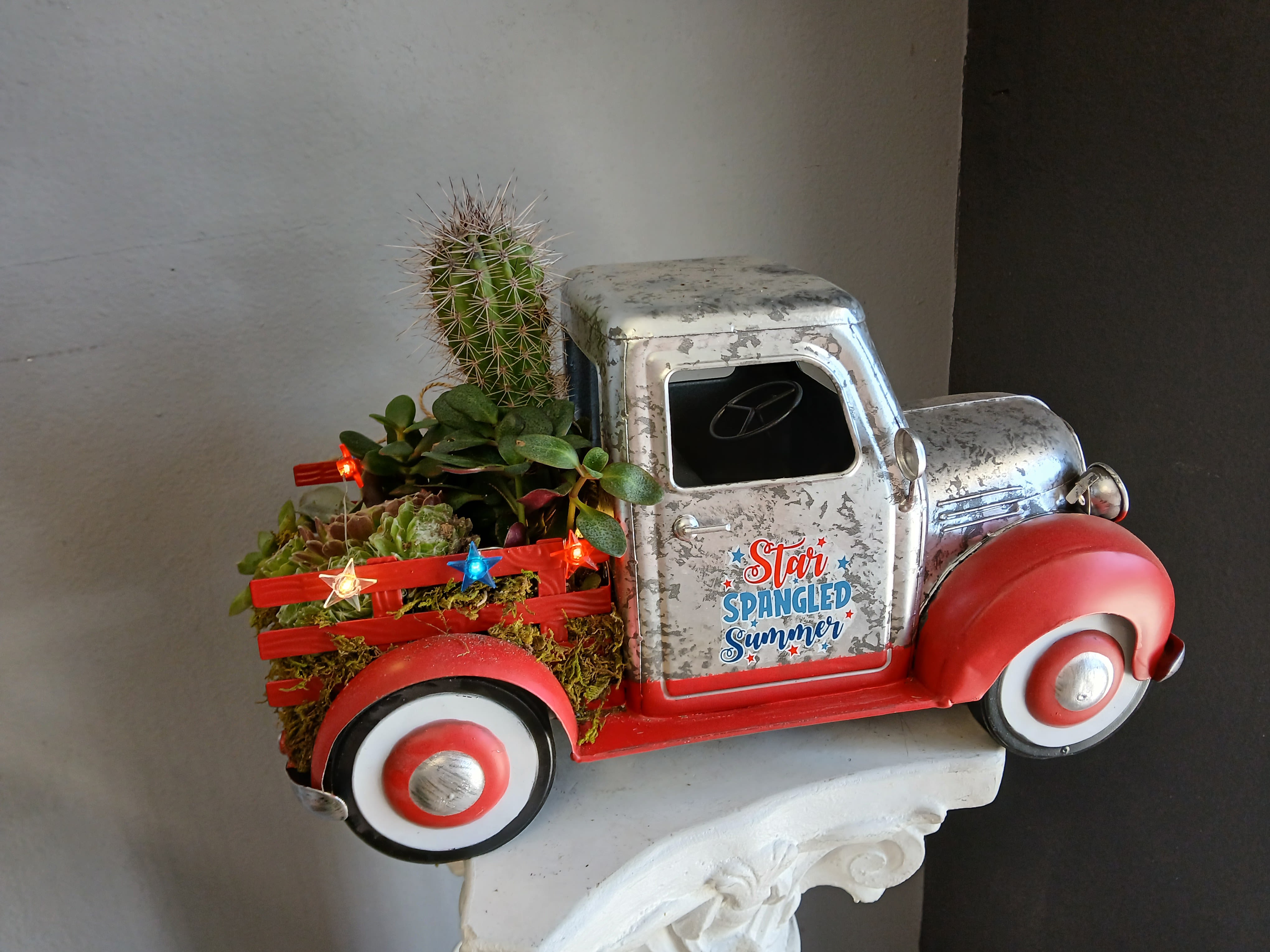 Star spangled summer succulent mix PL13 - What a festive way to celebrate and enjoy a beautiful assortment of succulents. Not pet friendly.