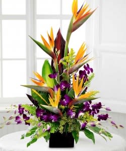 Tall tropical flower arrangement with orange bird-of-paradise and purple orchids in a black vase