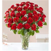 Tall arrangement of many red roses with white filler flowers in a clear glass vase