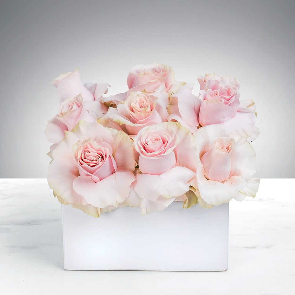 Pale pink roses arranged in a white rectangular box