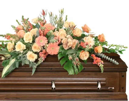 Compassionate Coral Casket Spray - In a symphony of warmth and grace, this casket spray captivates with the soft allure of peach gerberas and roses, set against the vibrant hues of safari sunsets. Each bloom reflects the sun's golden embrace. Order Compassionate Coral today to bid them a gentle farewell.  Includes: Casket Saddle W, Variegated Aspidistra, Baby Blue Eucalyptus, Seeded Eucalyptus, Monstera, Myrtle, Israeli Ruscus , Peach Gerbera, Safari Sunset, Orange Snapdragons, Peach Spray Roses, Peach Roses.