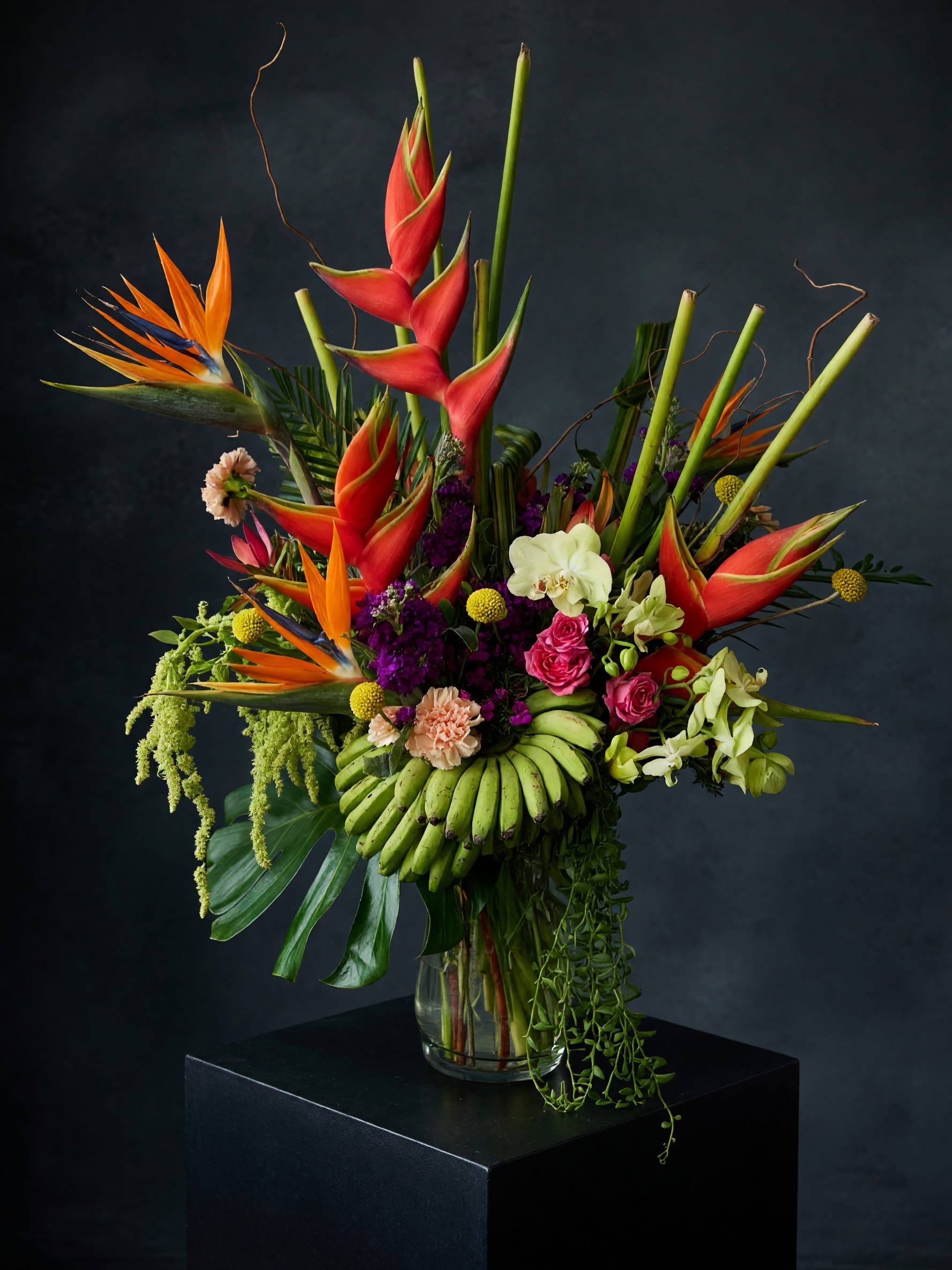Botanica - Botanica is a bold celebration of the tropics, artfully designed with sculptural heliconia, birds of paradise, orchids, lush tropical foliage, and seasonal botanical accents. Layered with vibrant textures, unexpected elements, and dramatic lines, this one-of-a-kind arrangement brings the feeling of an exotic garden into any space. Handcrafted in the Design in Blooms signature style, Botanica is an unforgettable statement piece perfect for celebrations, corporate gifting, grand entrances, or anyone who loves the extraordinary.